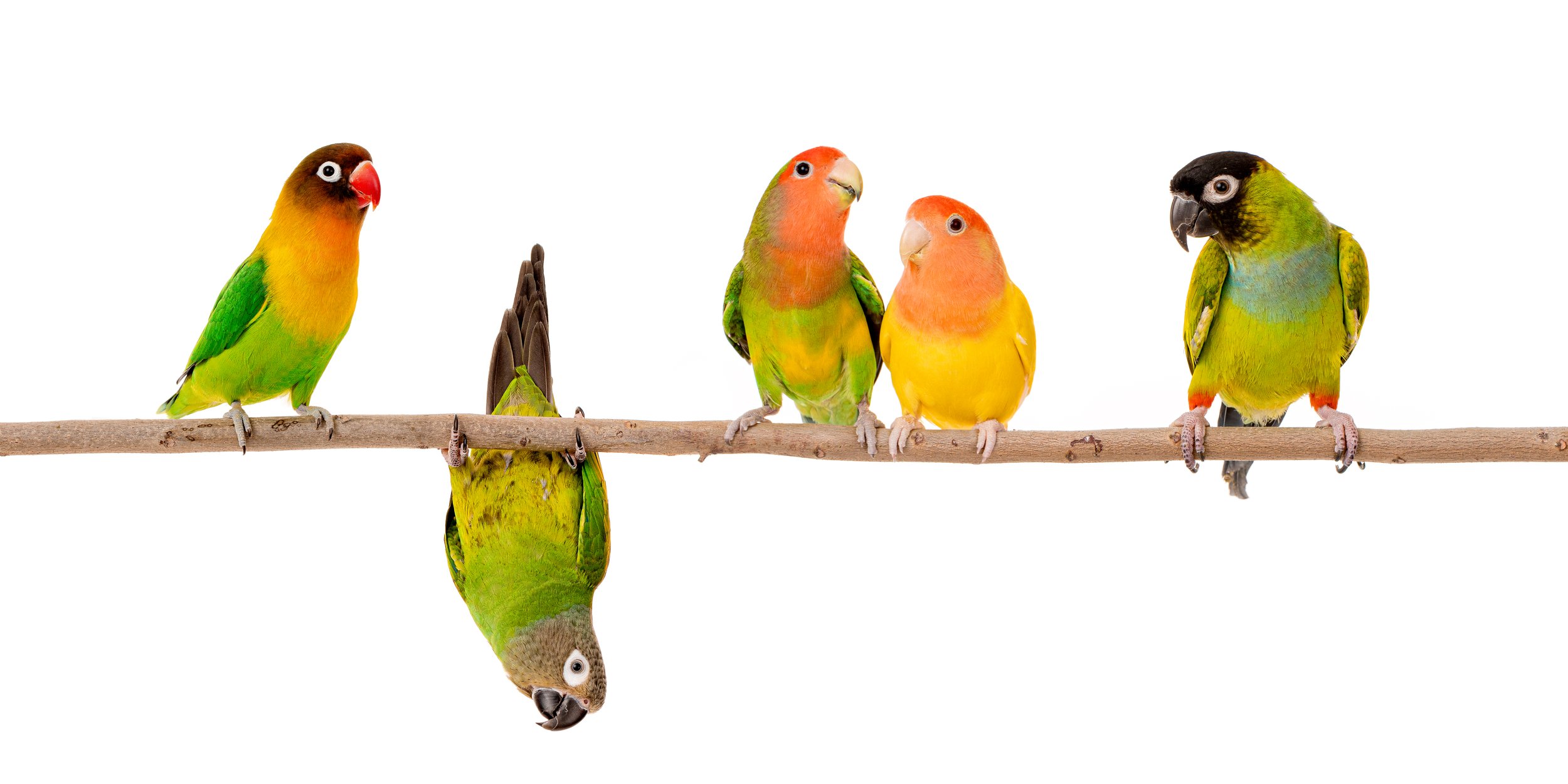 2022 08 14 Lu-472-Edit-Edit v2 copy.jpg