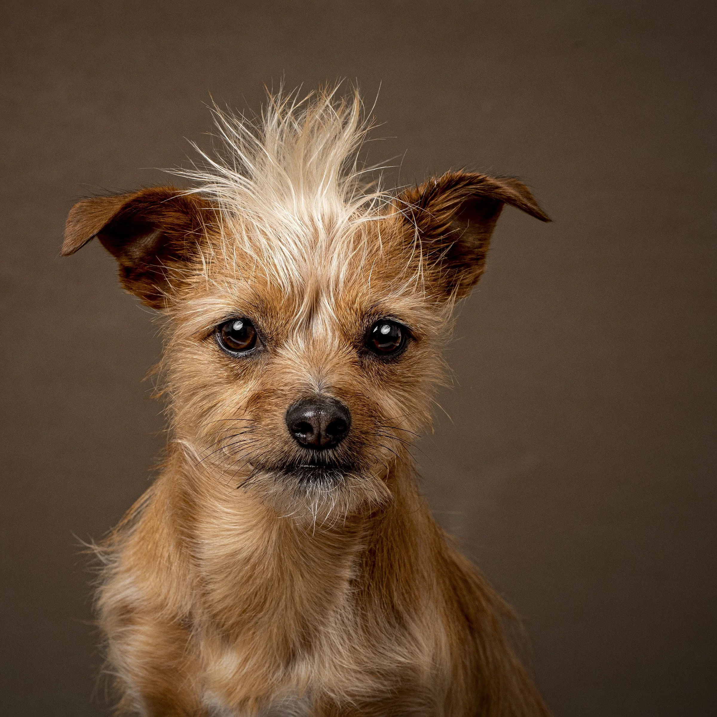 2021 02 11 Atkins-382-Edit copy 2.jpg