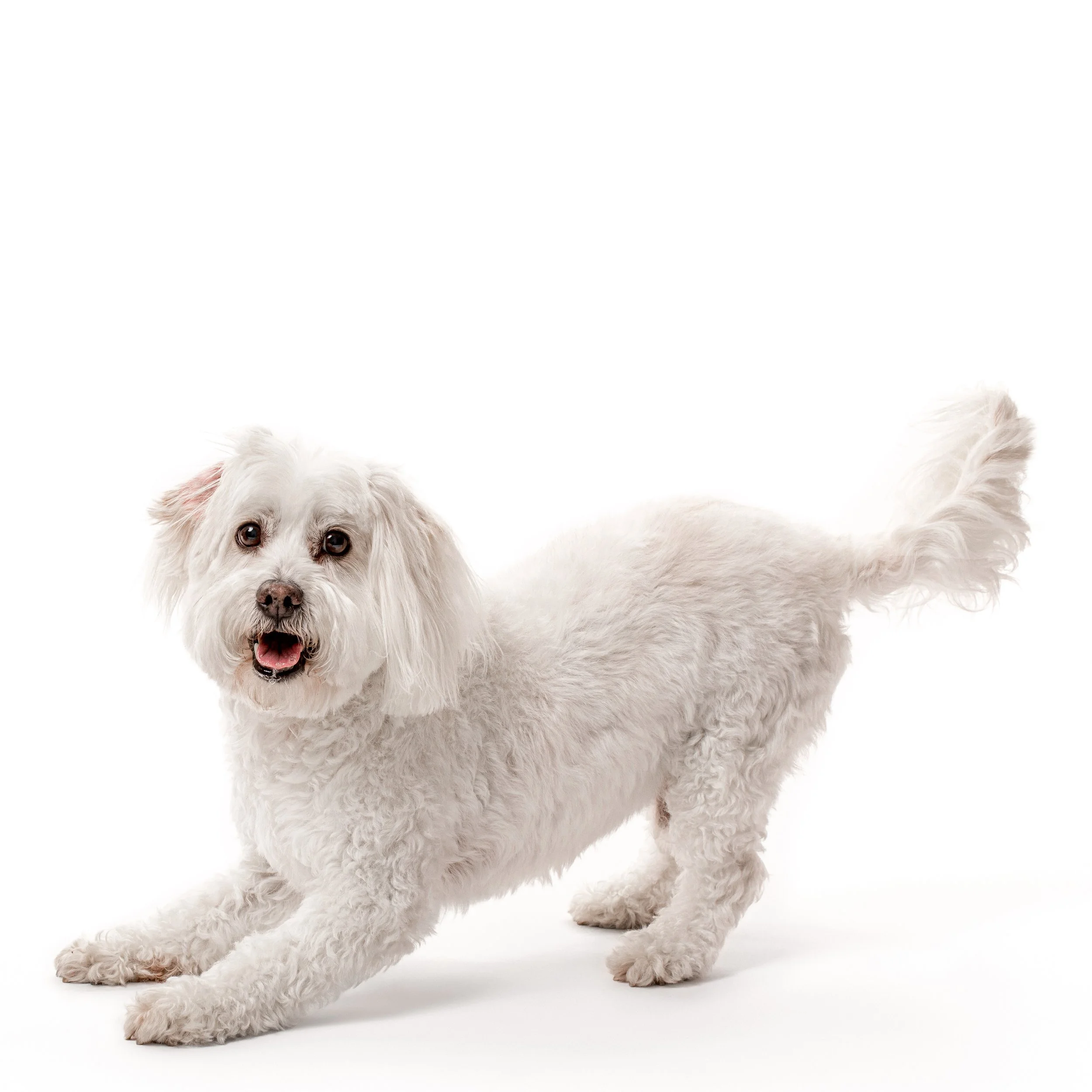 2022 04 19 Hinkle-100 copy.jpg