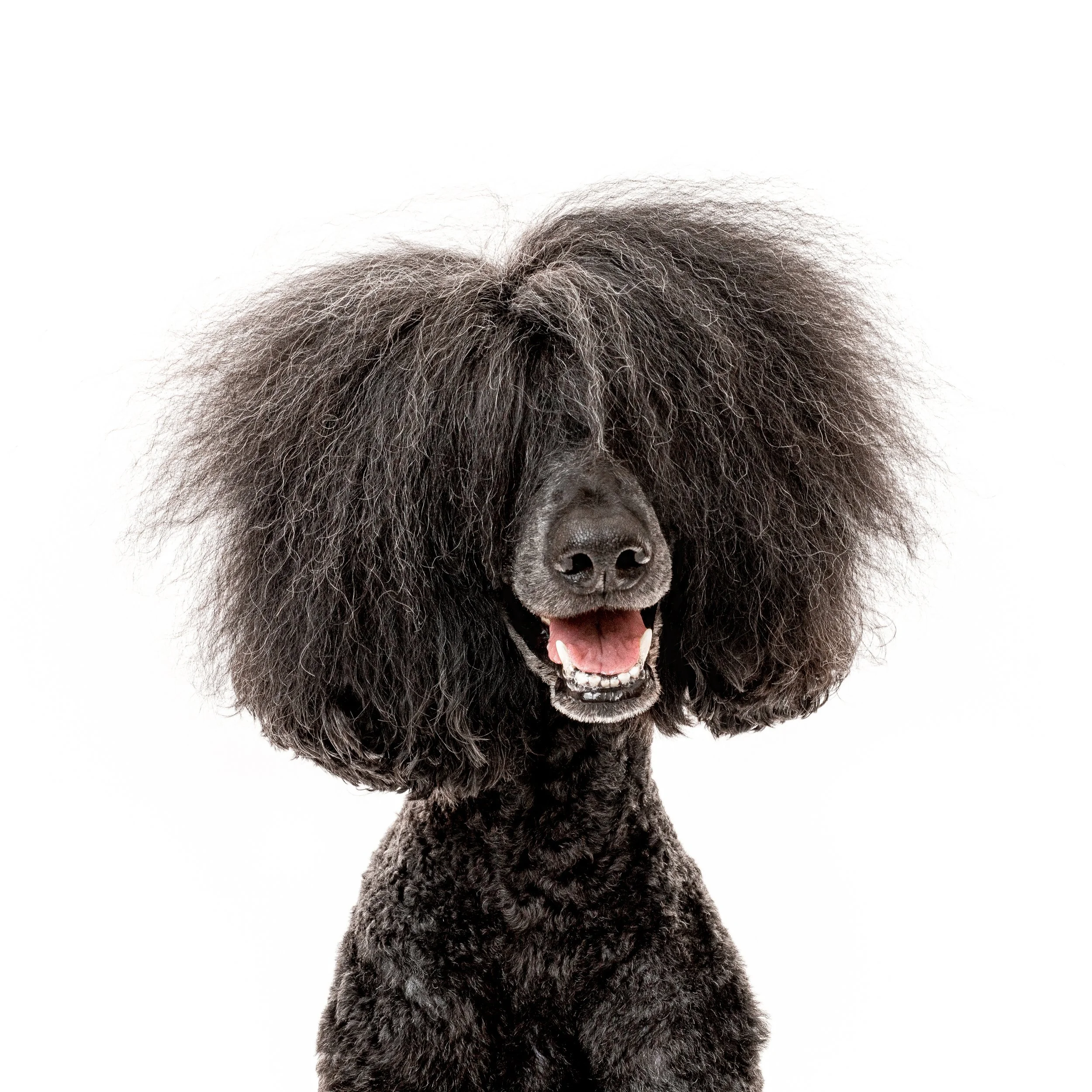 2025 07 05 Dahlerbruch-115 copy.jpg