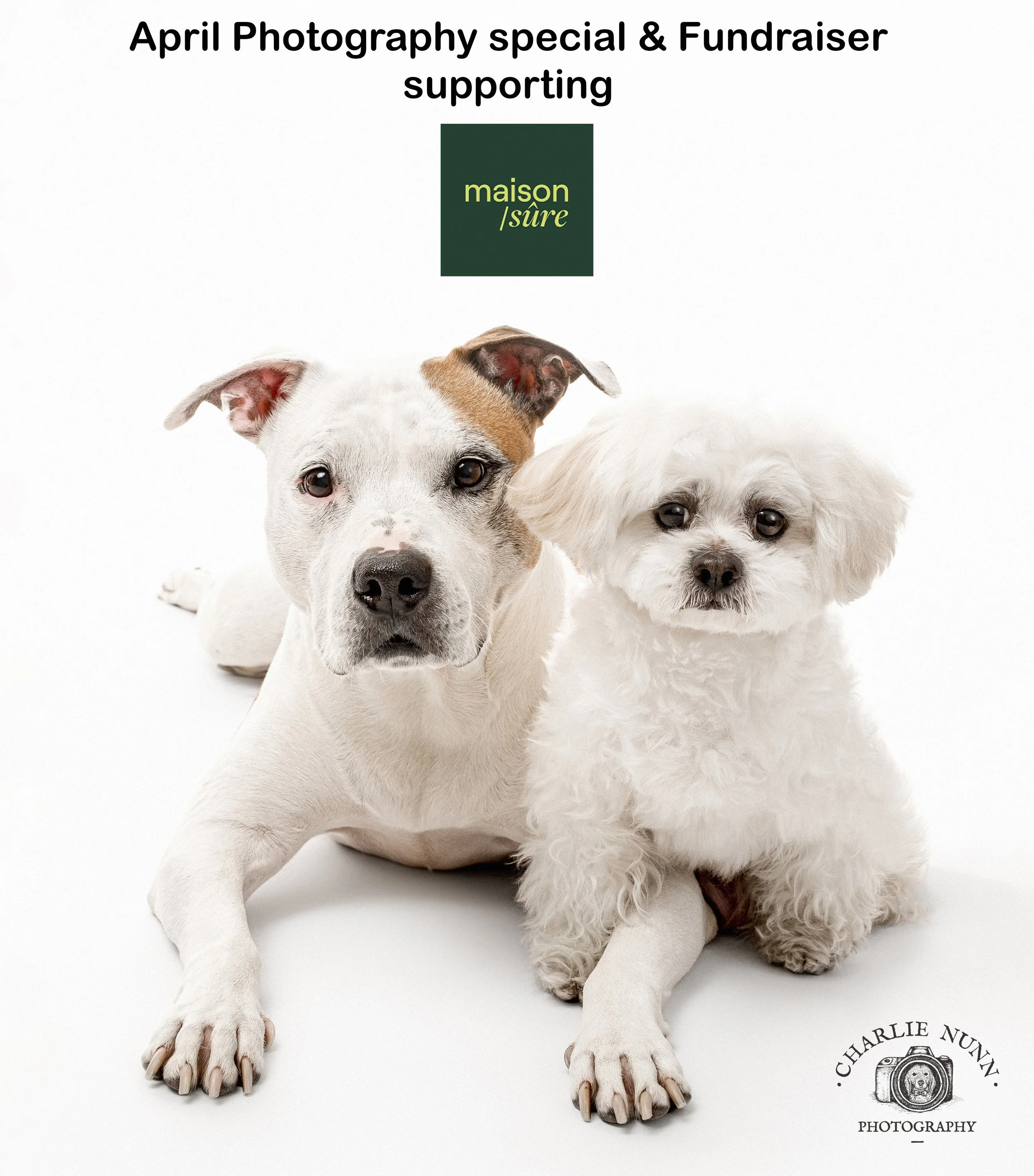 Studio Portrait Session benefiting MAISON/SÛRE