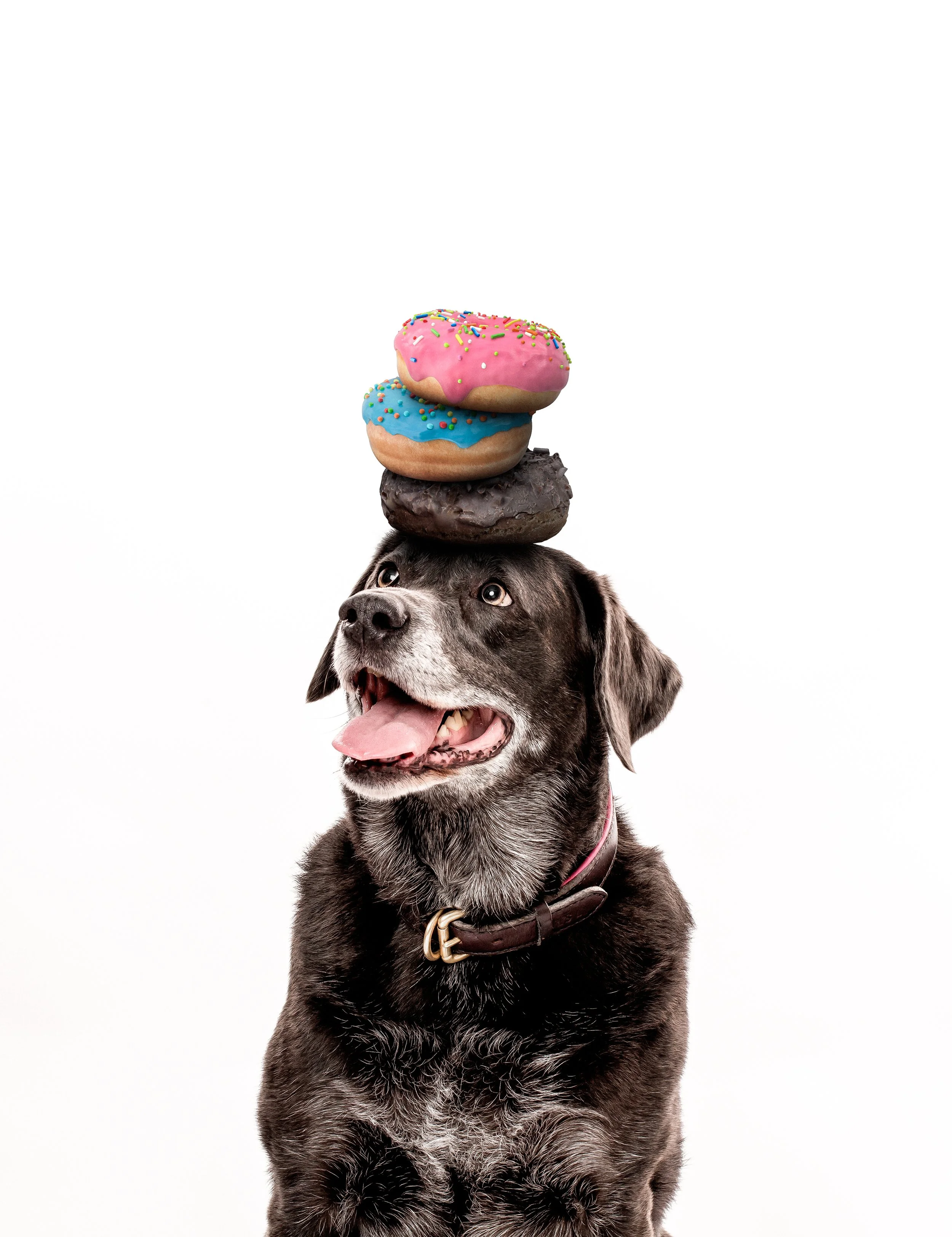 2019 05 25 Elstein-124.jpg