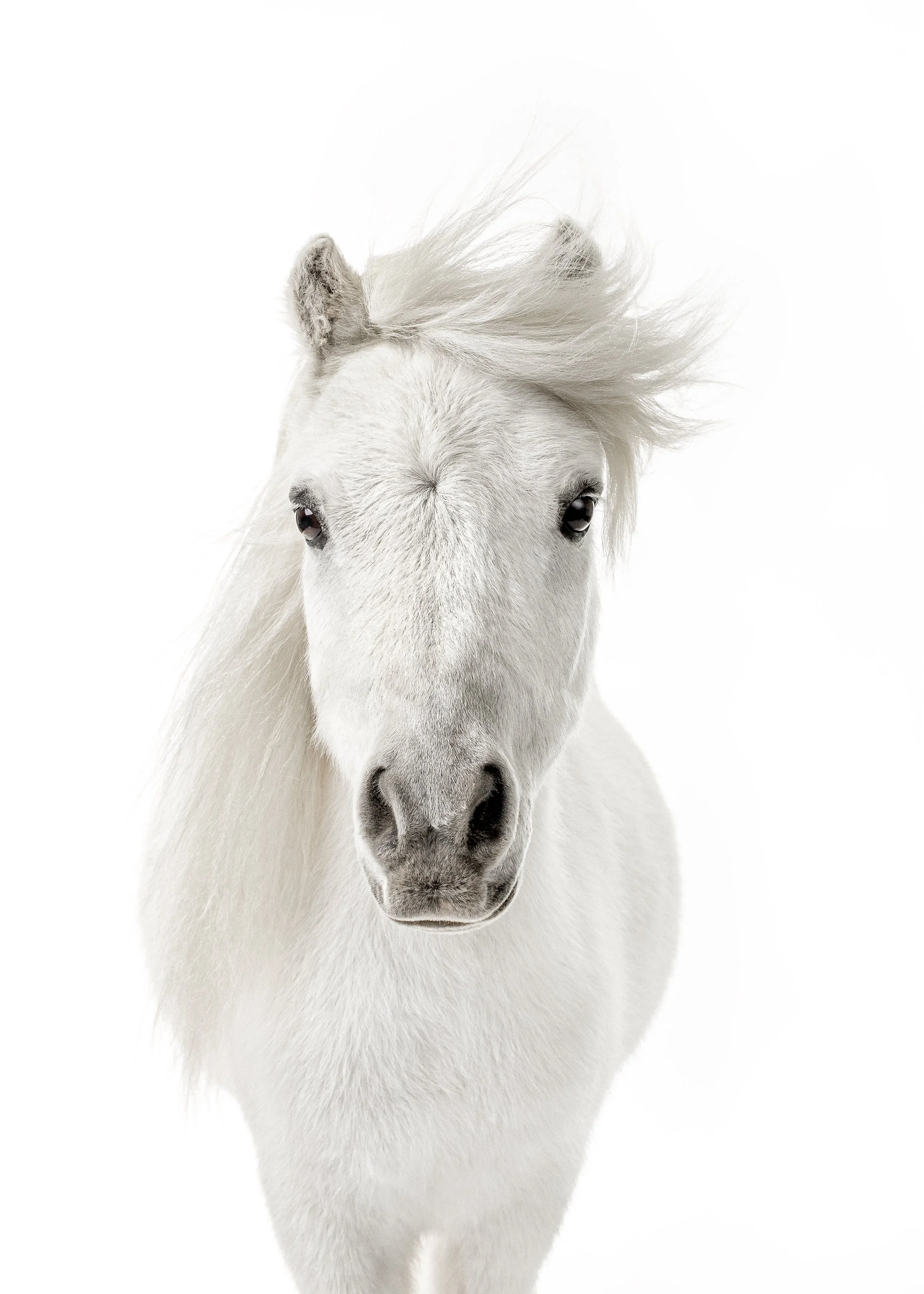 2024 10 18 Councilor-245(5x7) copy.jpg