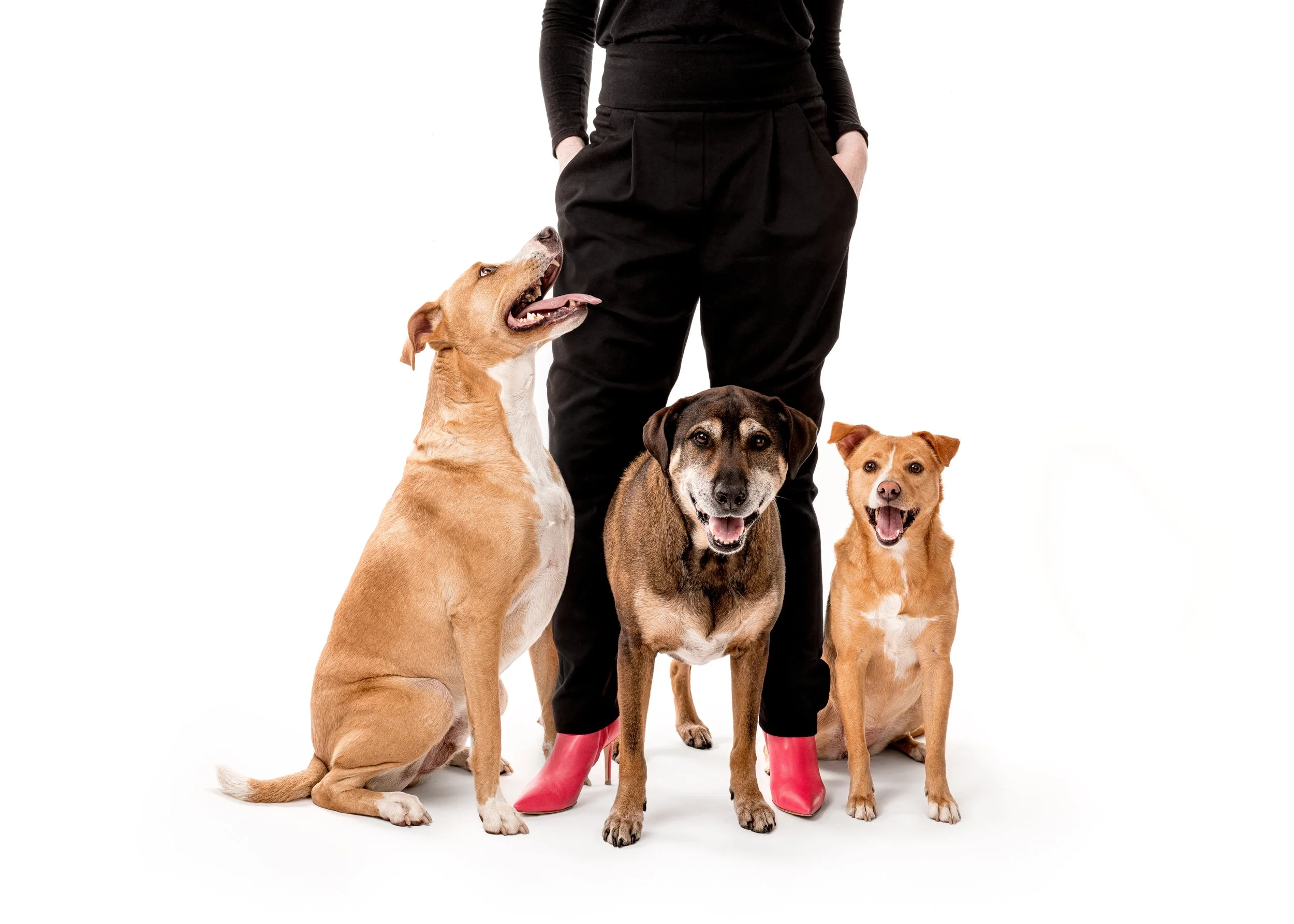 2022 03 10 Wisocky-100.jpg