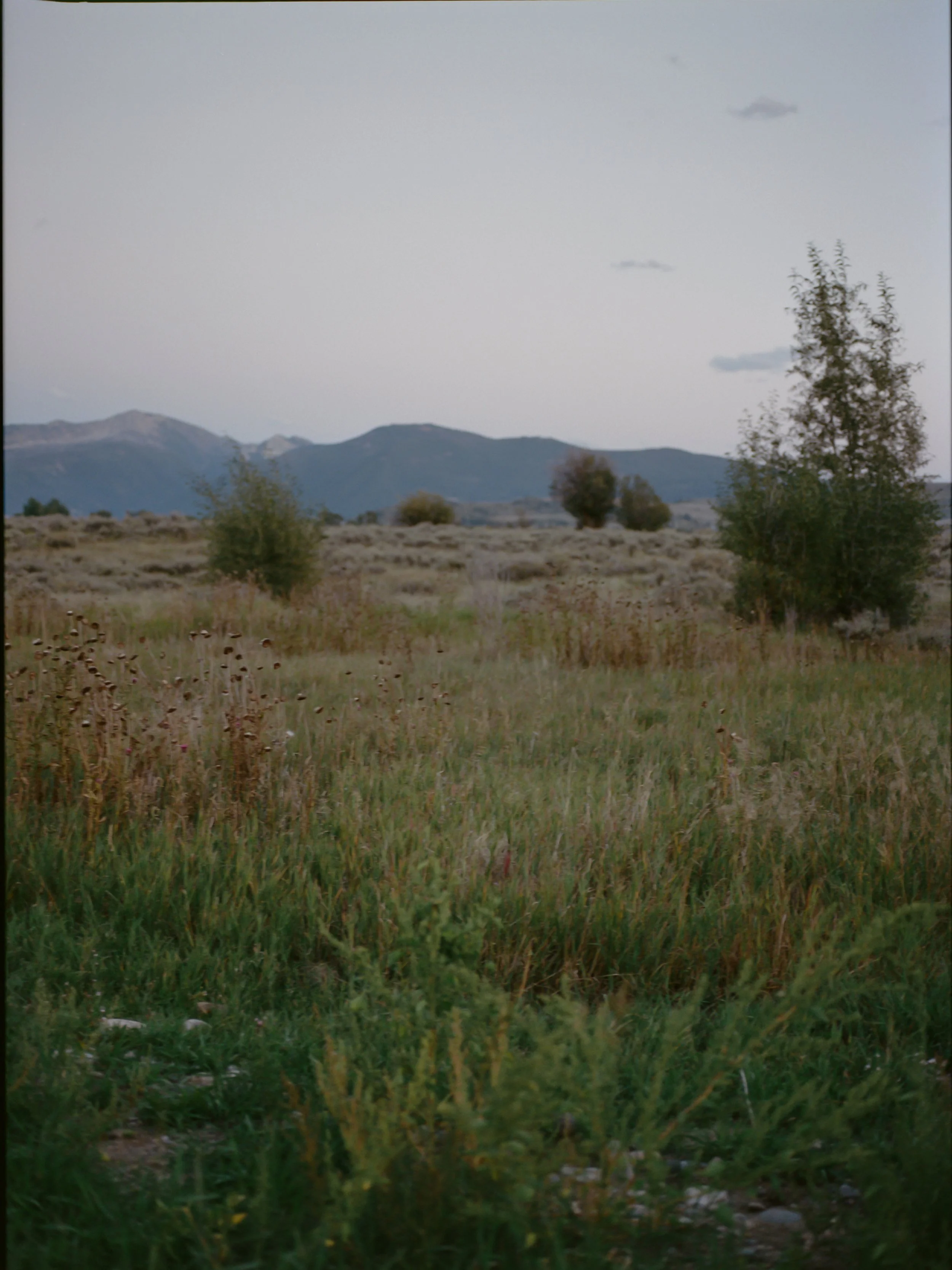 previews-51.jpg