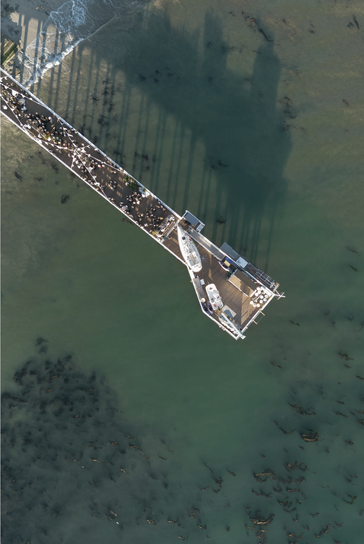 Screenshot 2026-02-10 at 12.50.43 PM.png