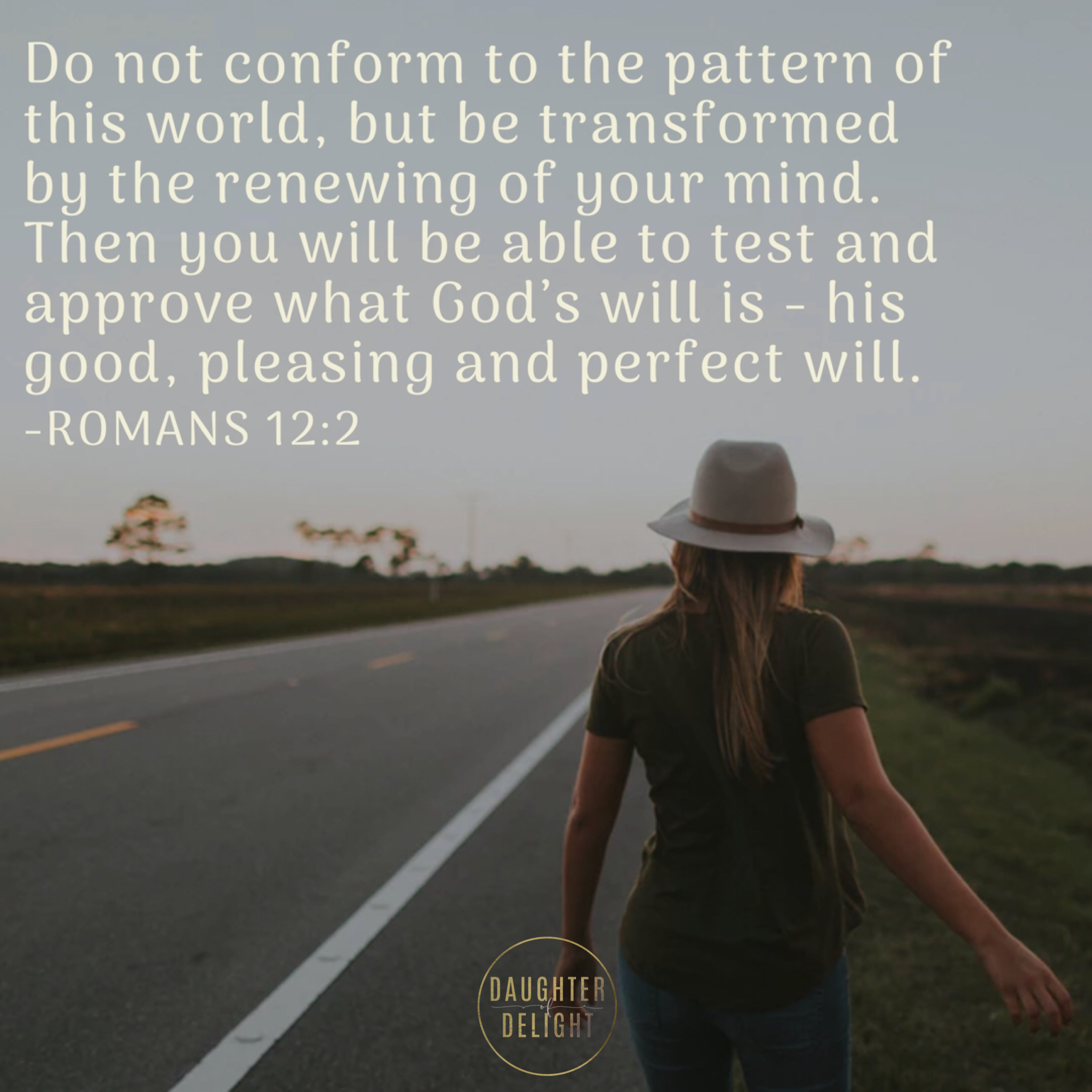 Daily Delight