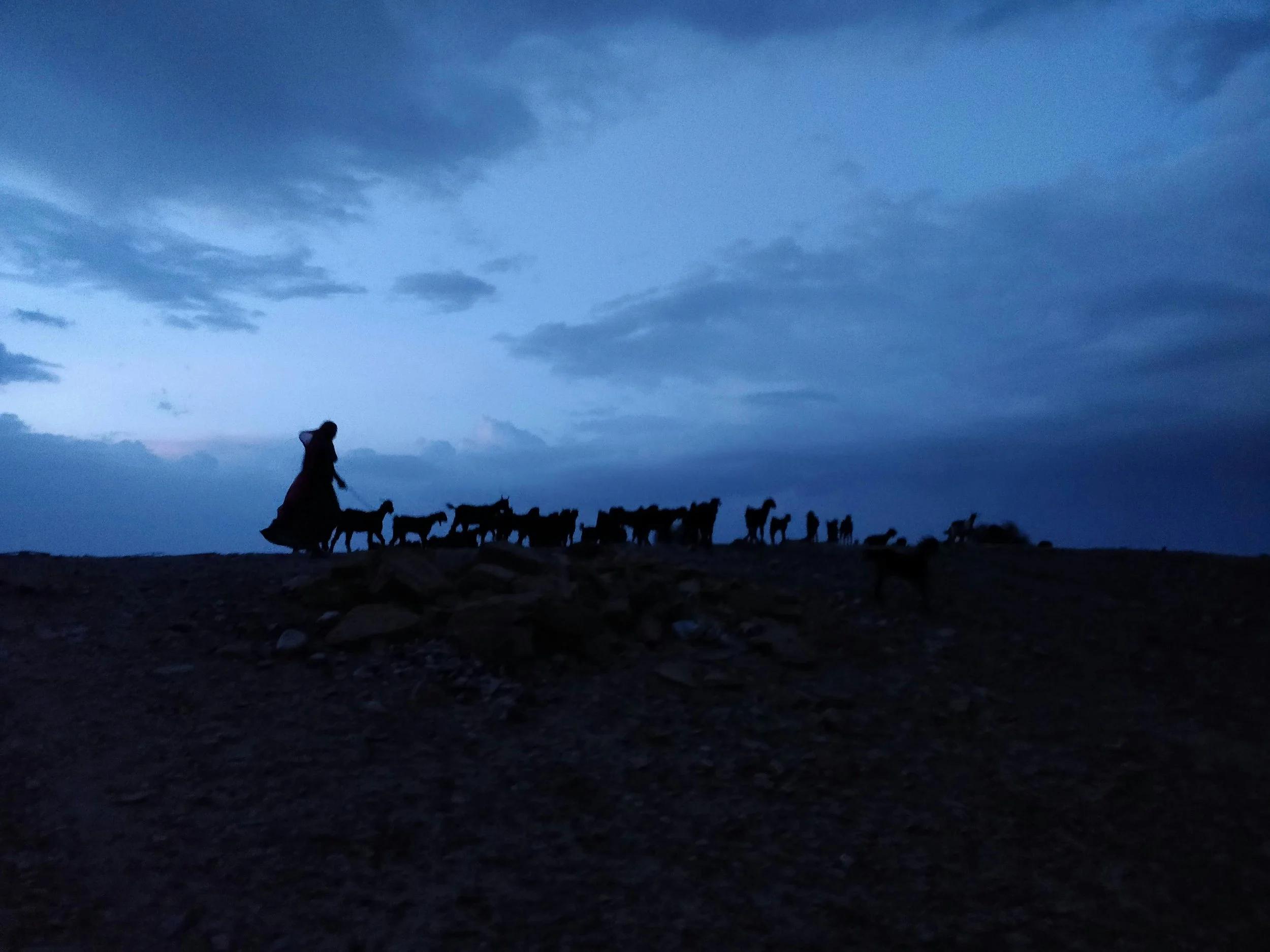 The Shepherds and the Savior: Seeking and Savoring Christ at Christmas