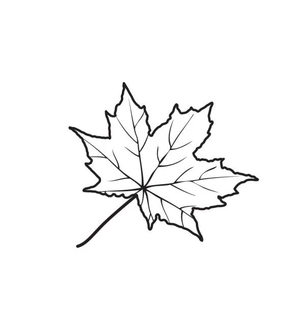 Maple Cookies
