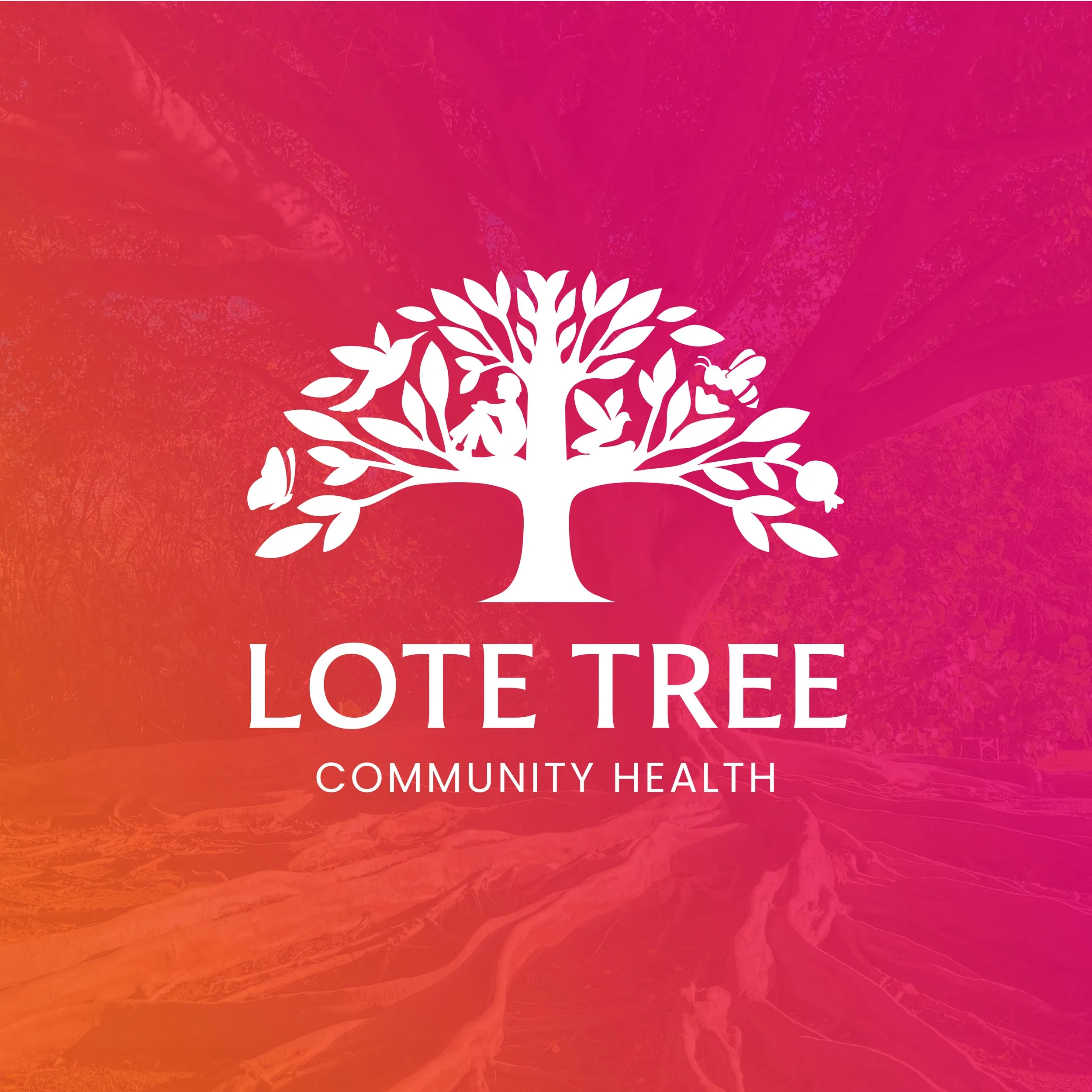 Lote Tree Brand Identity 2025