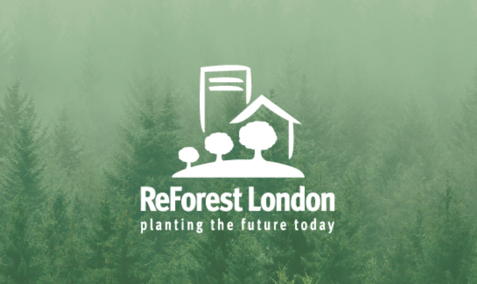 Screenshot 2025-11-19 132814.png