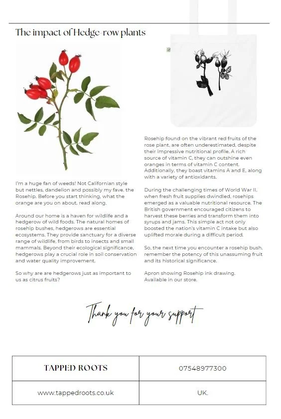 Newsletter sign up below
