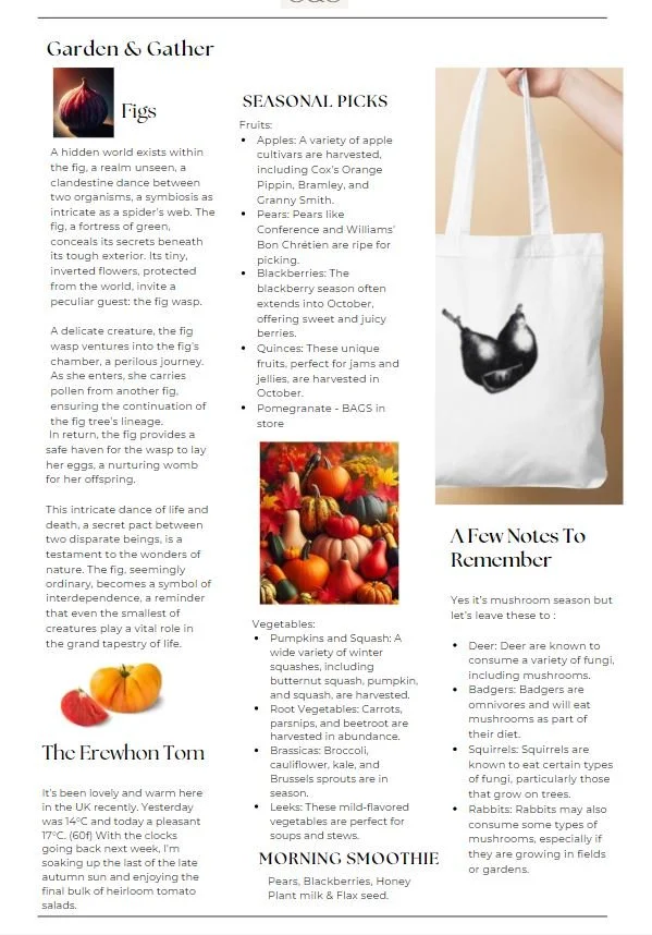Newsletter sign up below