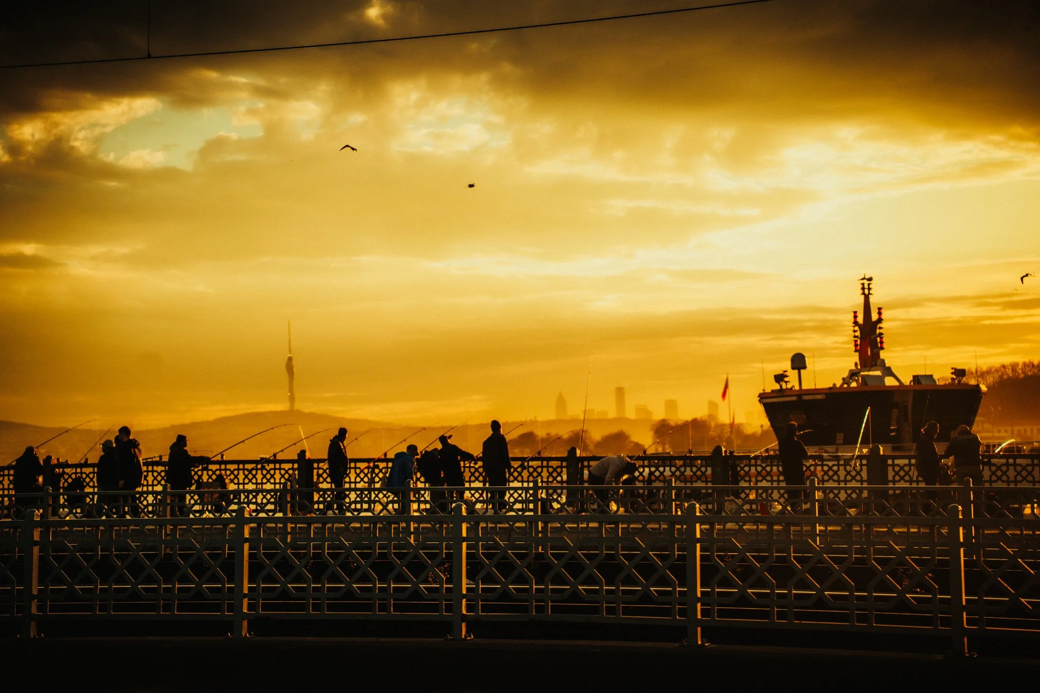 Instanbul, Turkey. Silhouettes of people fishing along a dock at sunset with a large ship docked nearby and a city skyline in the background, under a golden sky with clouds and birds flying.