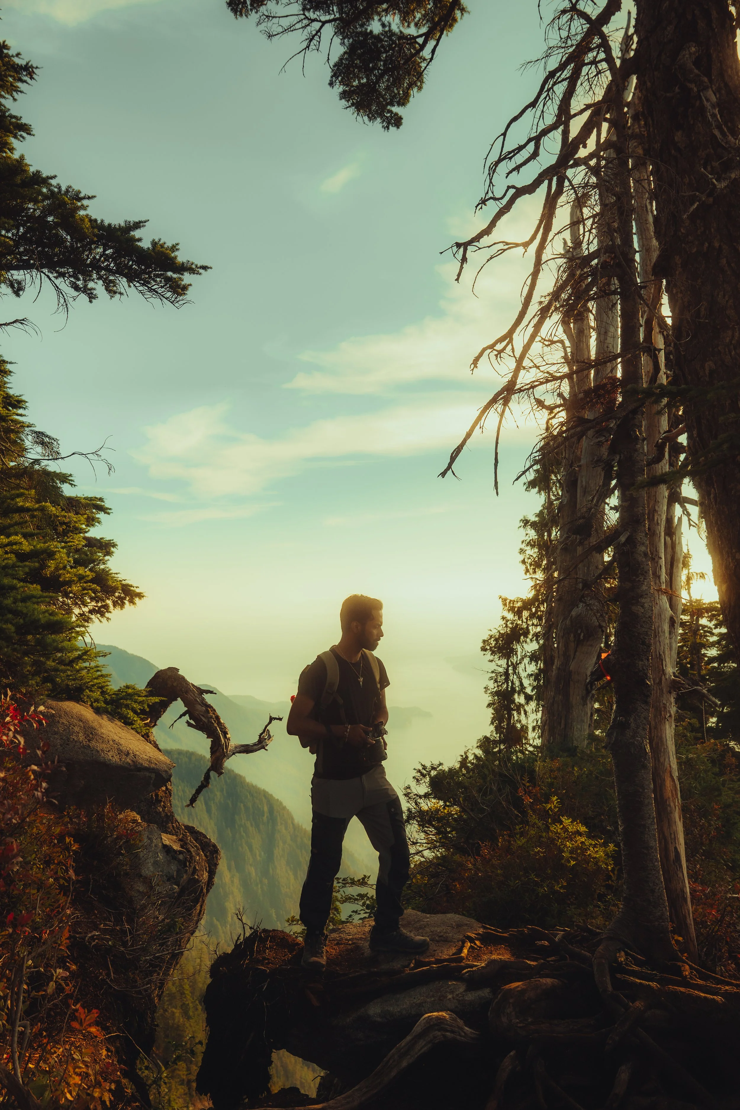 Man standing on a rocky ledge in a forest during sunset, surrounded by trees and overlooking a mountainous landscape.