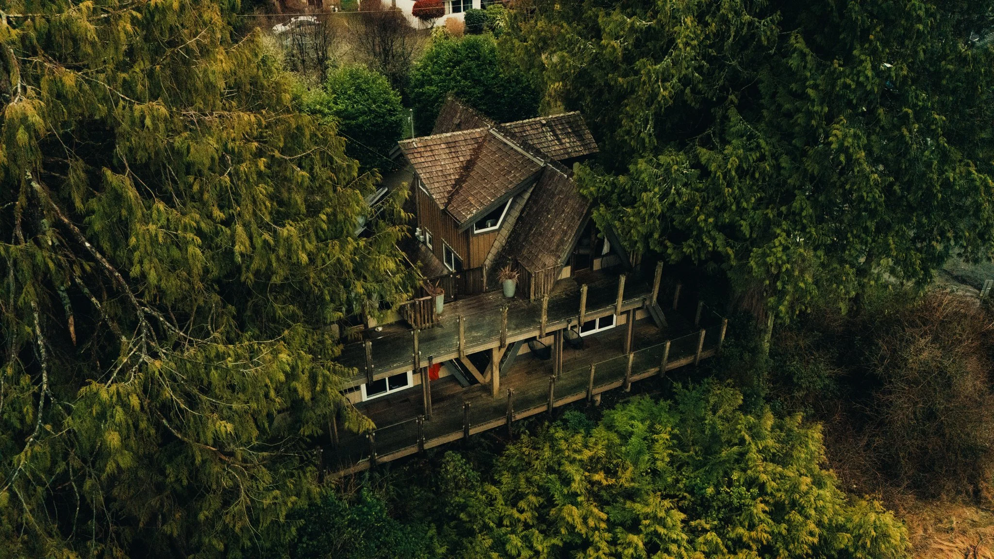 An aerial view of a small, wooden house built on stilts, surrounded by dense green trees and foliage.