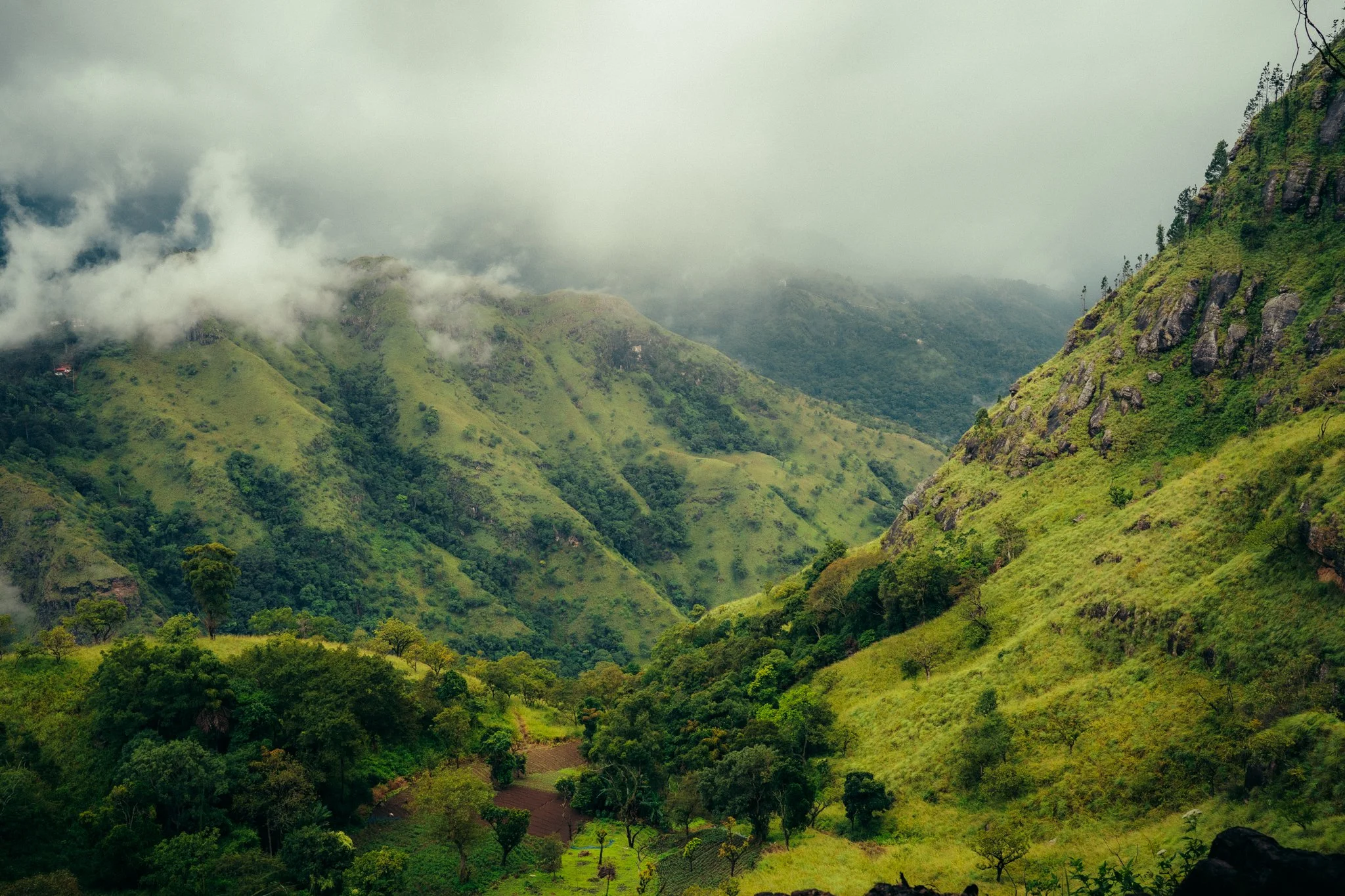 Lush green mountains in Sri Lanka with mist and clouds in the background