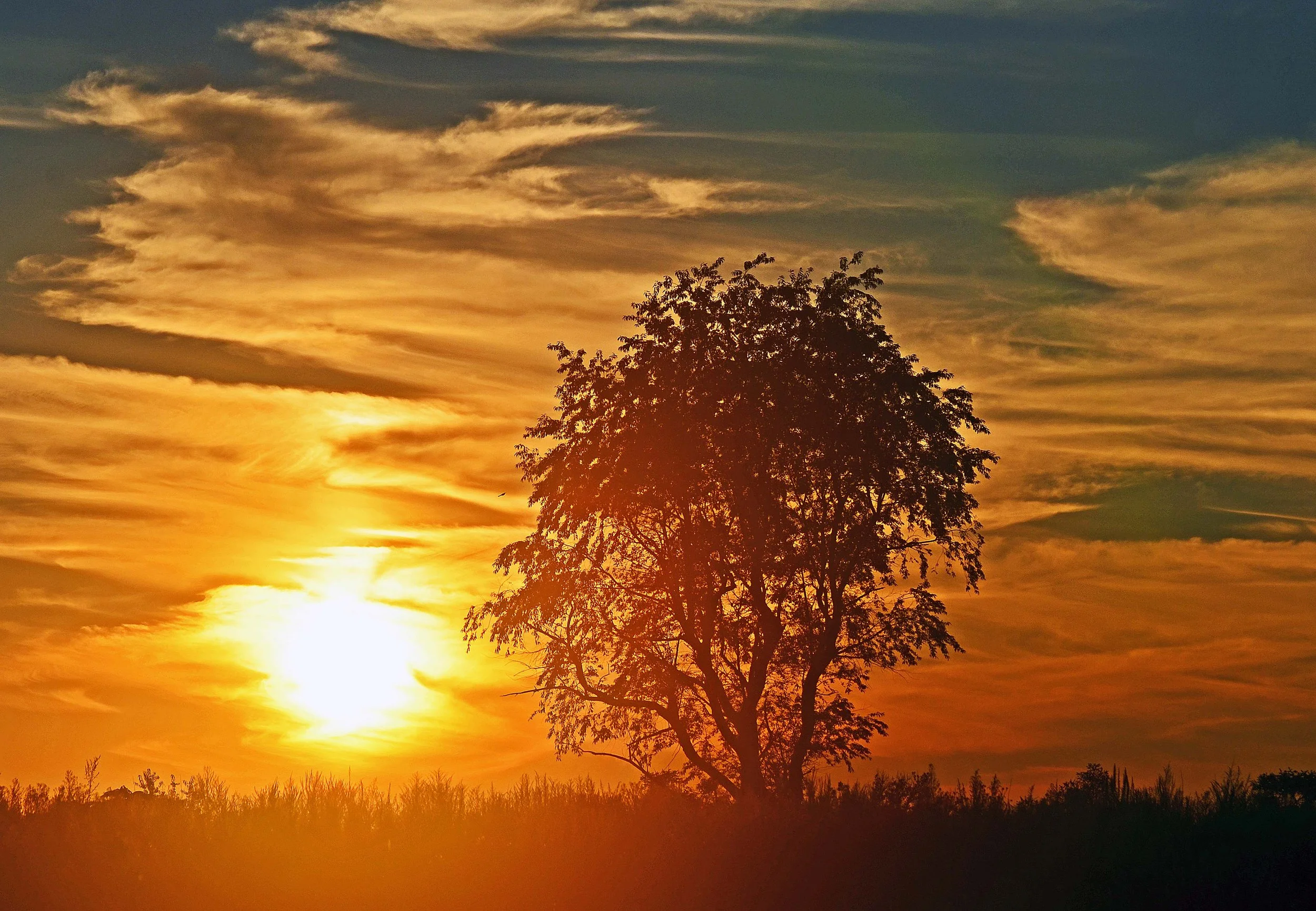 DAWN’S LIGHT