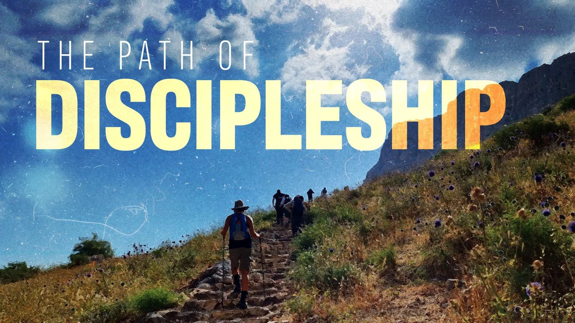 Bearing Witness: How to Be the Salt and Light of the Earth