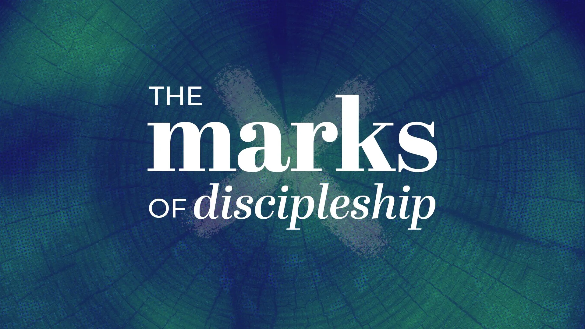 Multiplying the Life of Christ