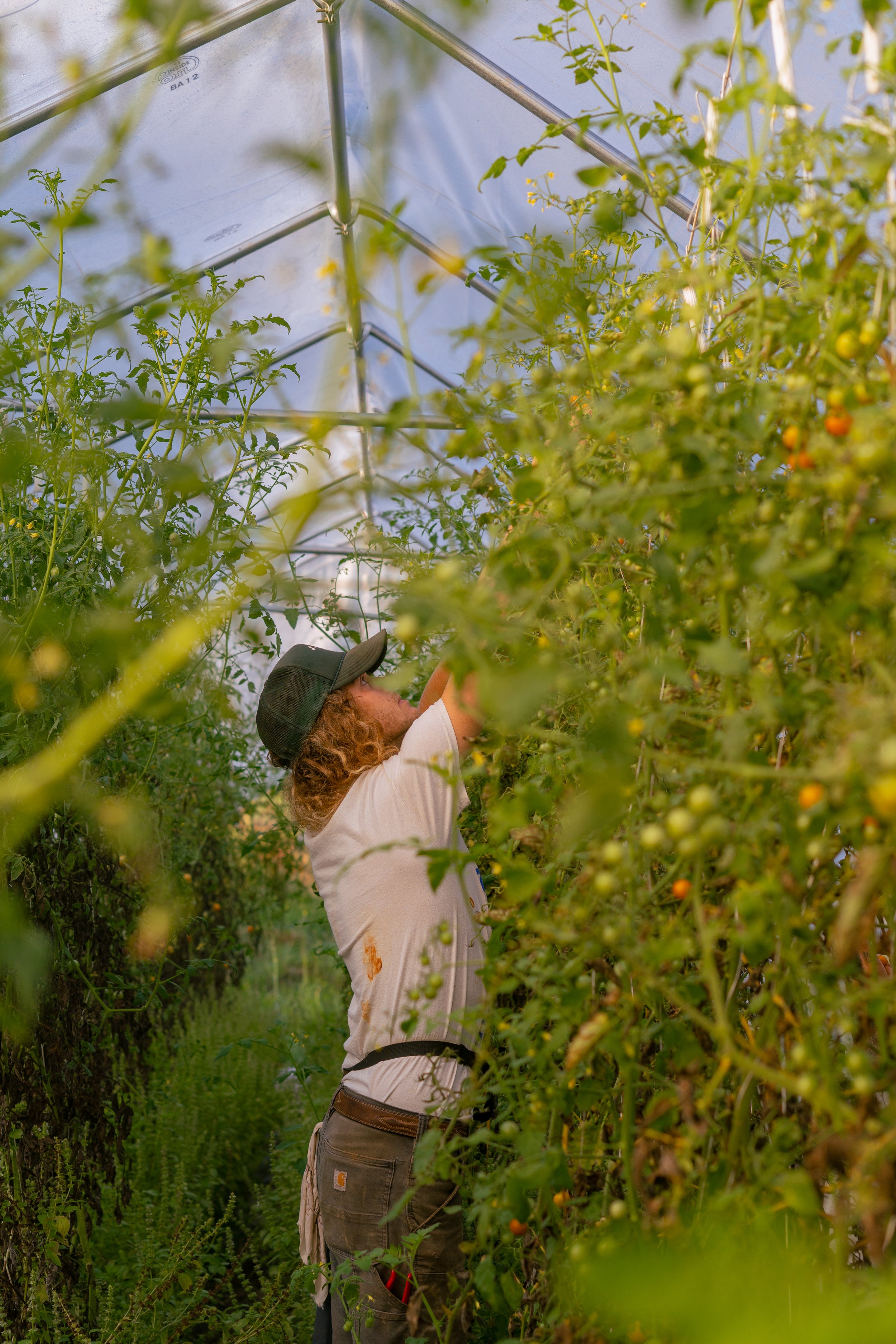 FarmFiddle-012.jpg