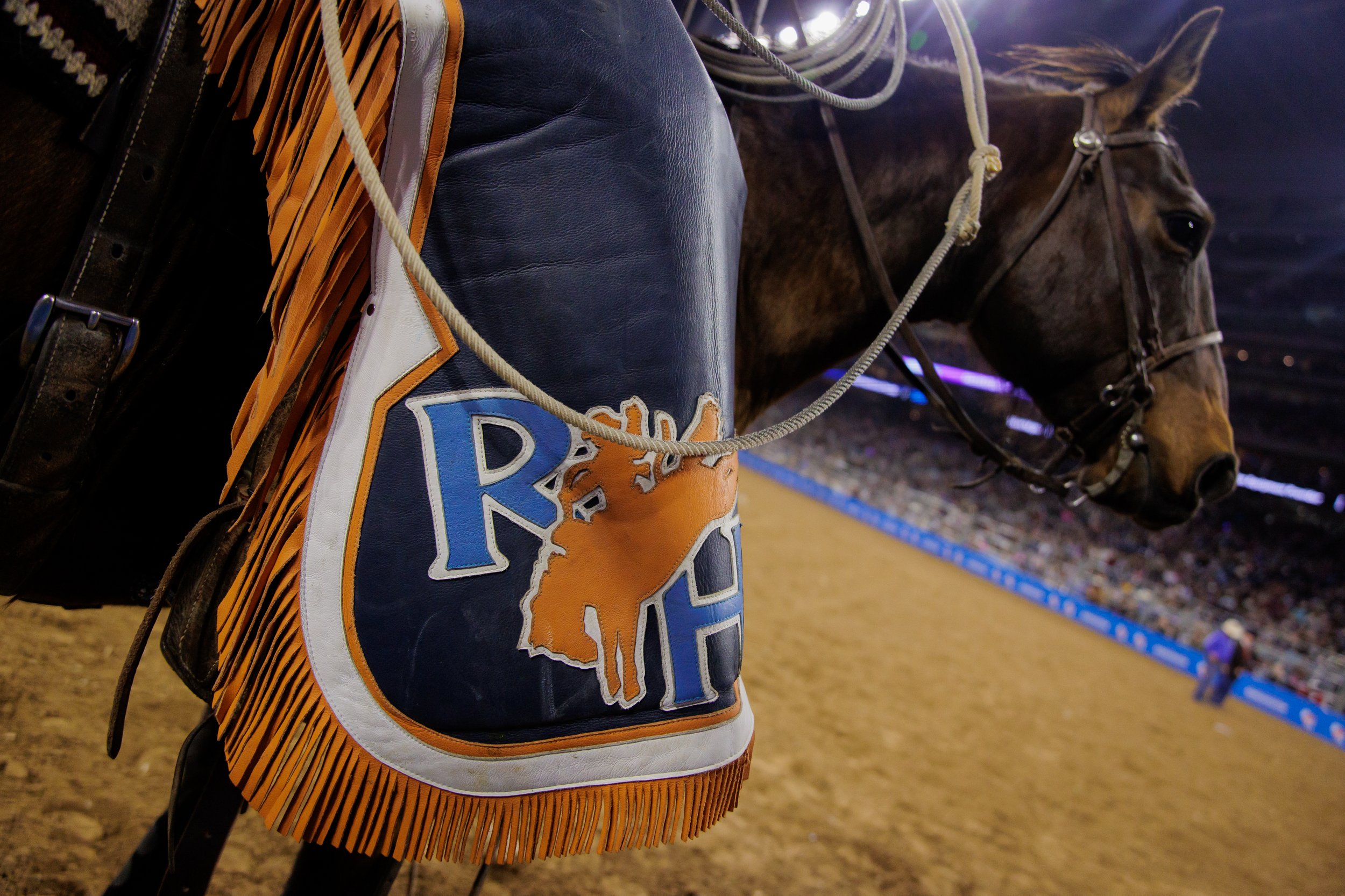 Houston Livestock Show and Rodeo™ | Katelyn Scates