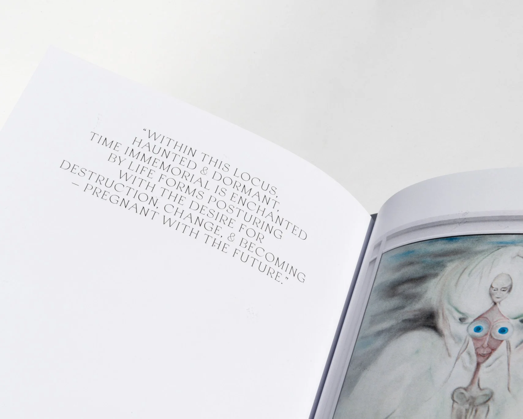 Caesura_1_06.jpg