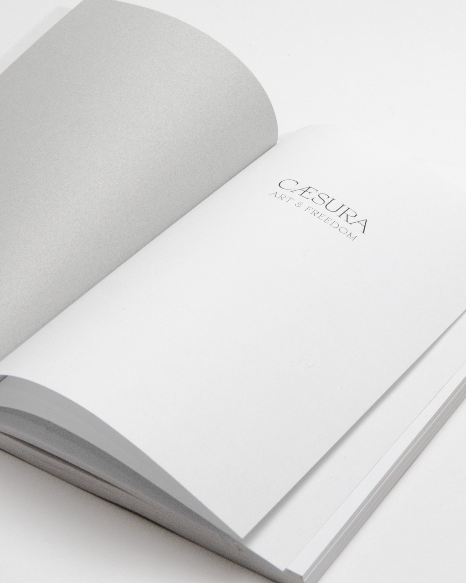 Caesura_1_01.jpg