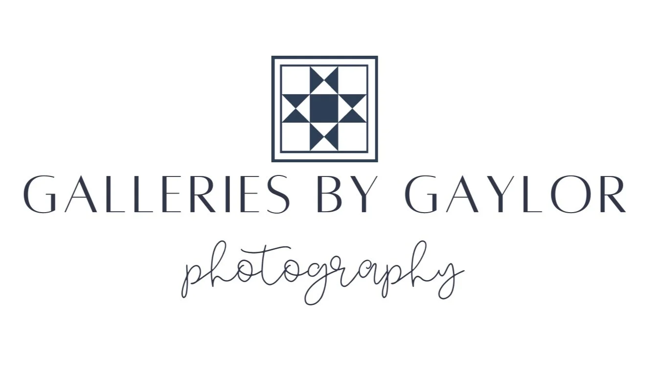 Galleries by Gaylor