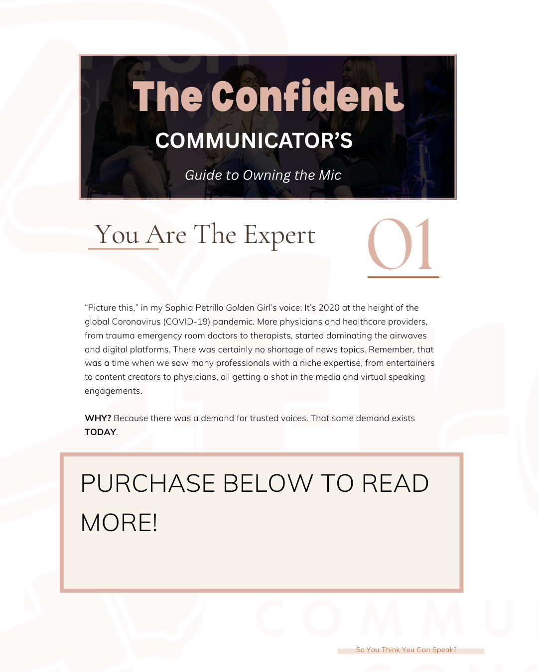 SYTYCS Snippet Pic Chapter 1.png