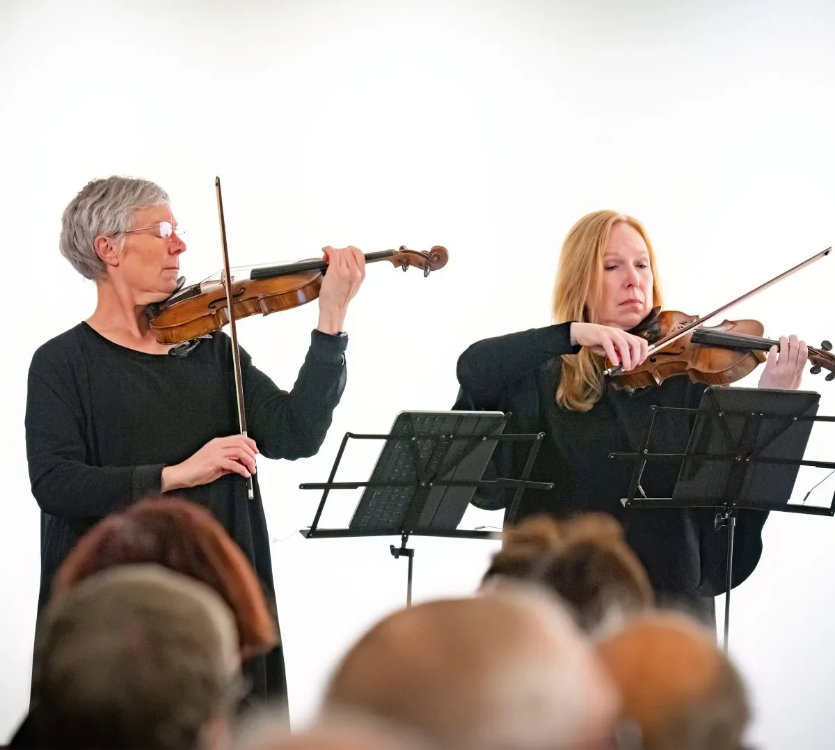 Dvořák String Quintet from the Tasmanian symphony Orchestra - SOLD OUT