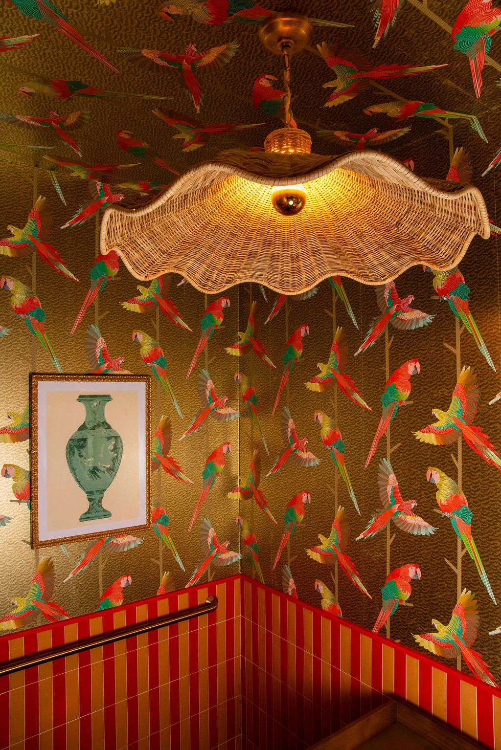 Parrot wallpaper and woven light fixture detail at Dimmi Dimmi by Siren Betty Design.