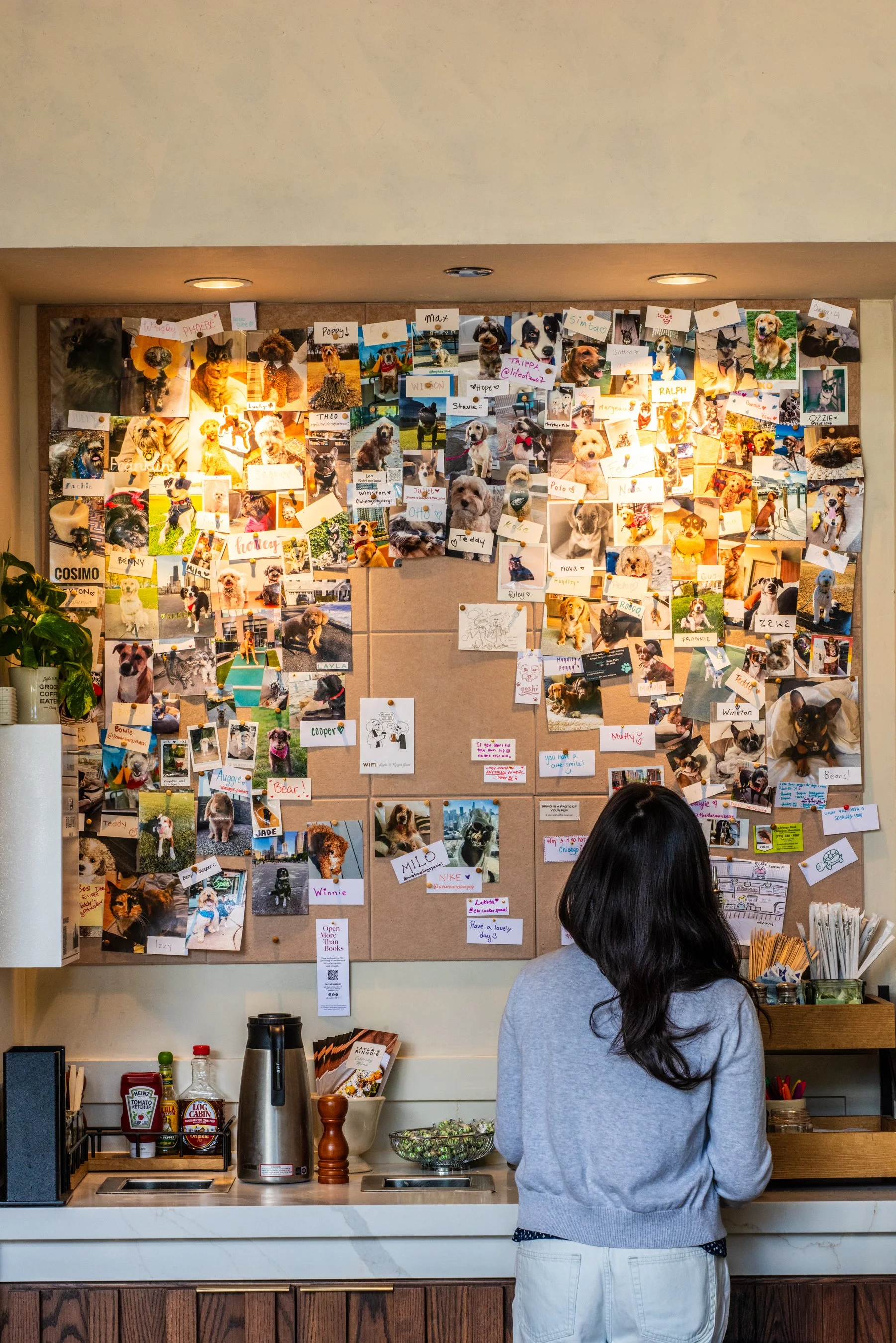 Layla and Ringo’s interior dog photo wall above the condiment counter with a guest standing in front by Siren Betty Design
