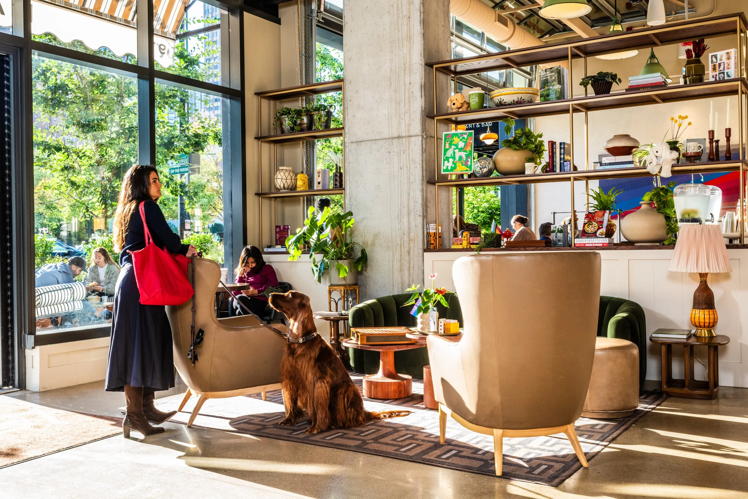 Layla and Ringo’s lounge with seating, open shelving, sunlight, and a dog sitting beside guests by Siren Betty Design
