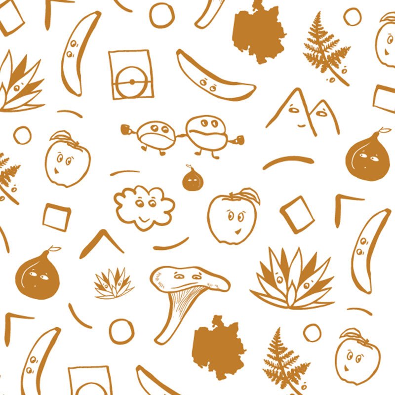 Orange-illustrated-pattern-for-coffee-branding.jpg