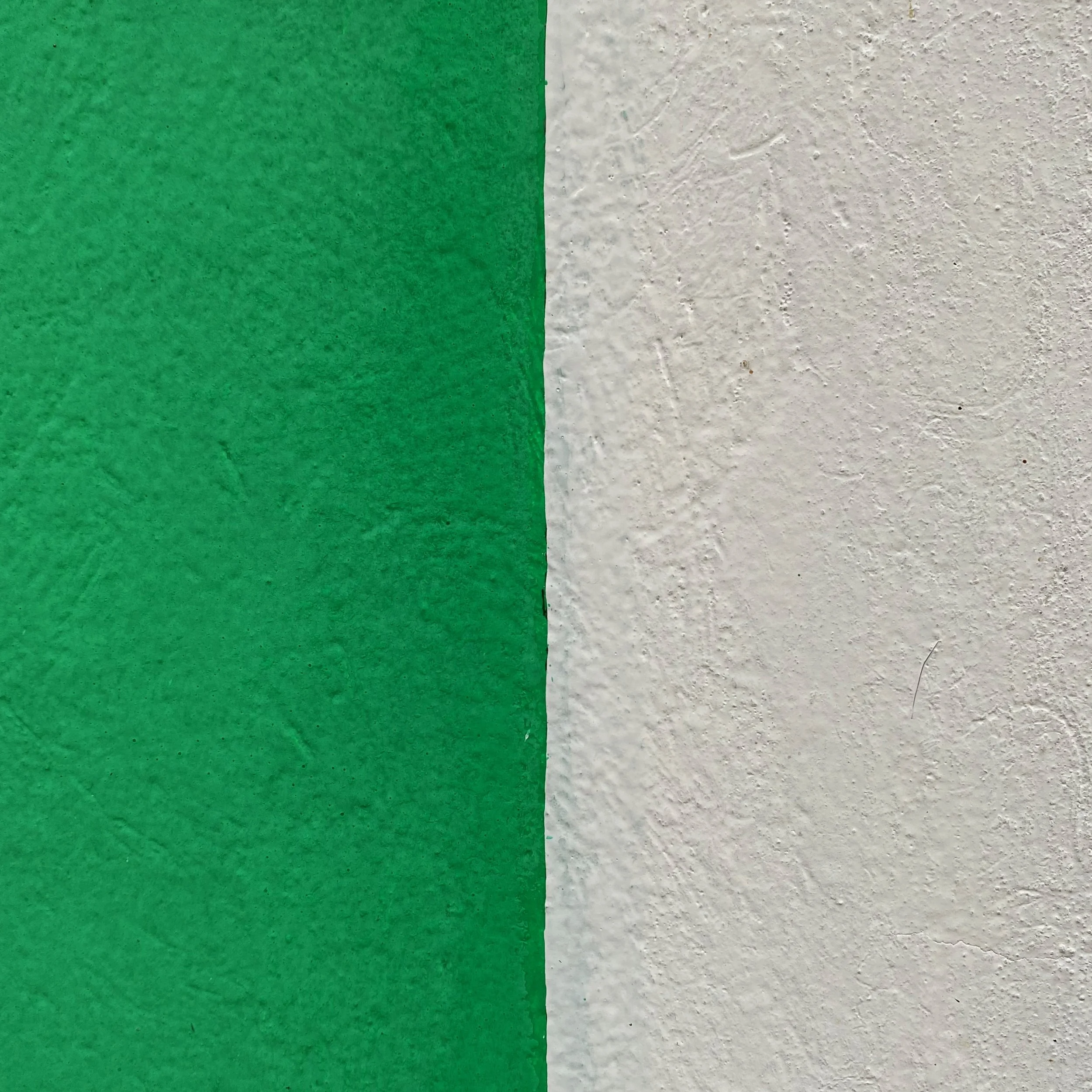 Walls of Oaxaca_crisp white.jpeg