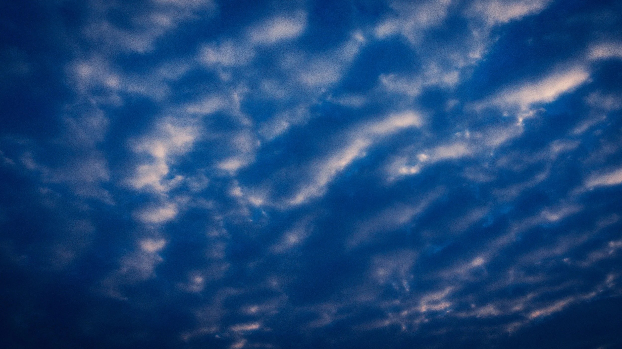 Atelier Wen - Perception Millesime DC V1C.00_00_24_20.Still013.jpg