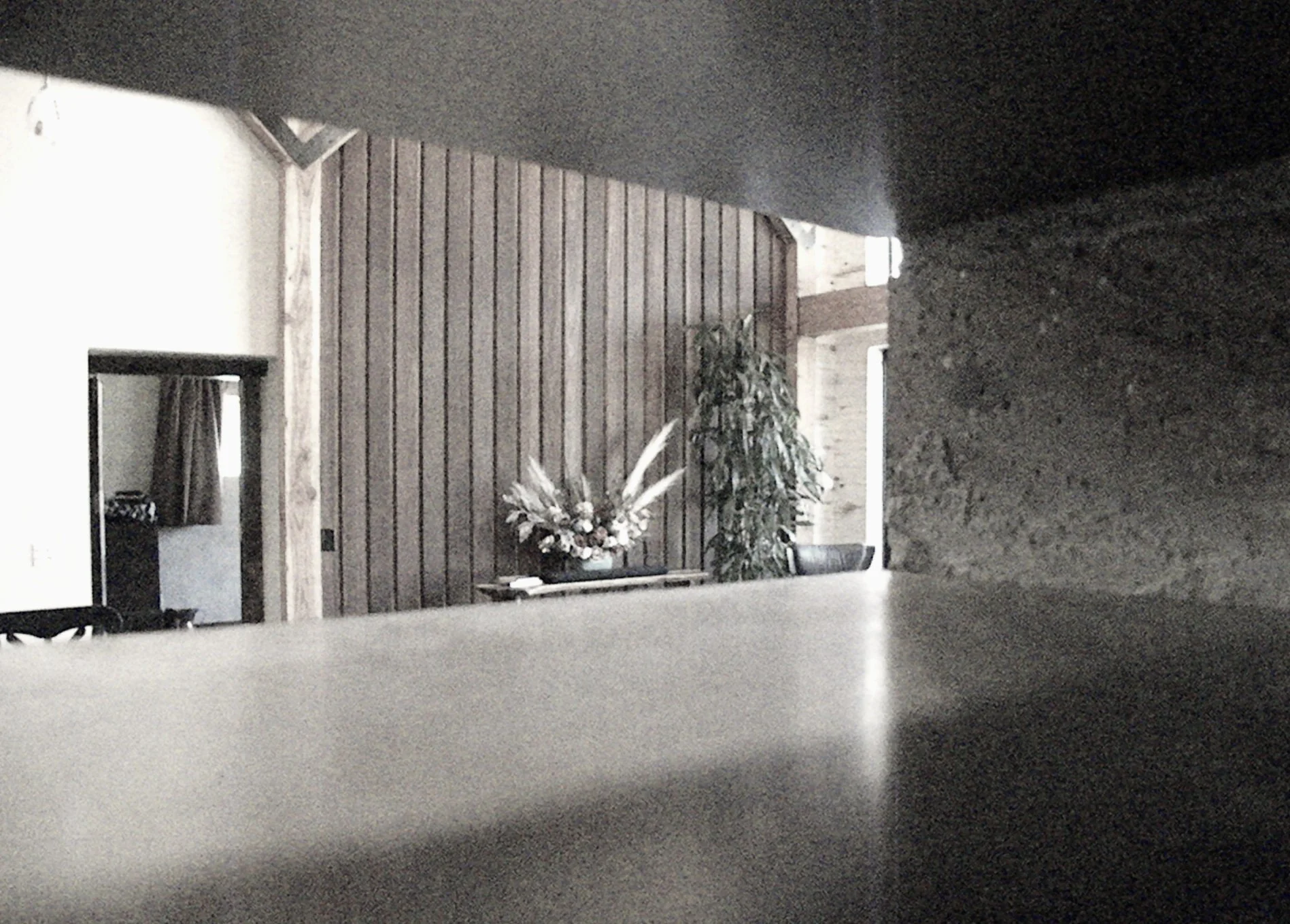 DSCN3524-W.JPG