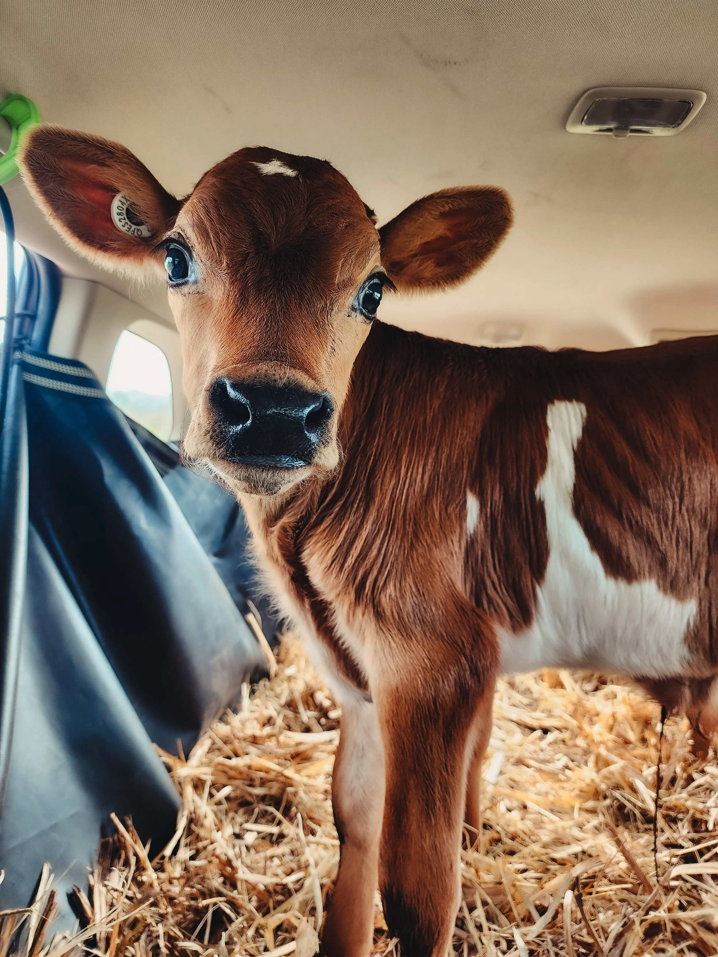 20221214_081003 2.JPG