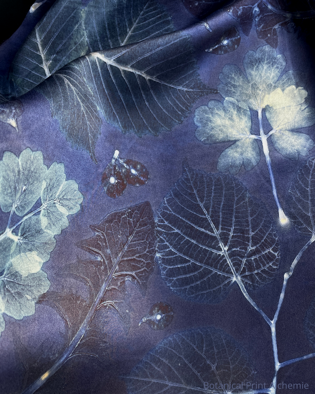 Botanical Print Created with Samara Seeds