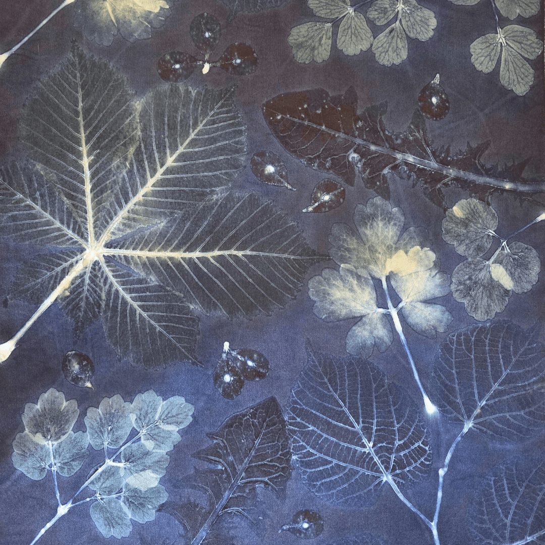 Spring Ecoprint with Logwood Background Dye