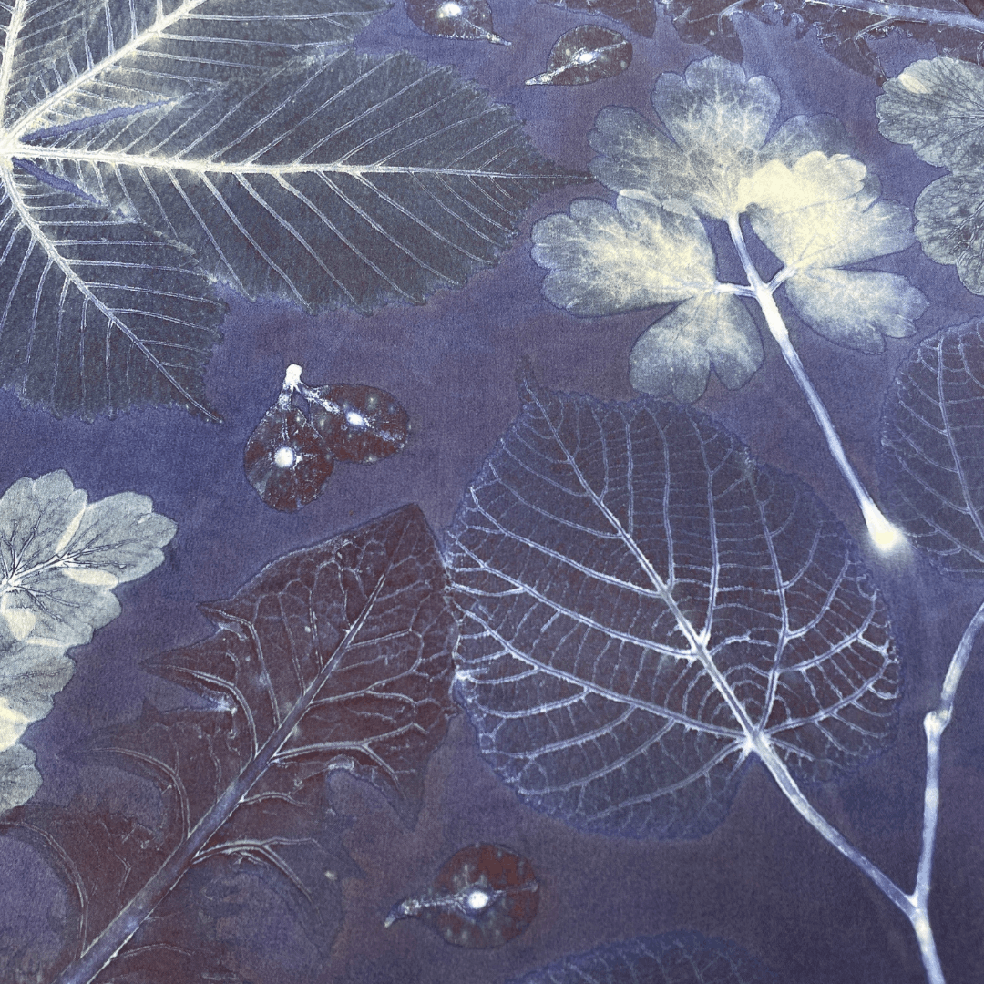 Samara Seeds in a Spring Ecoprint