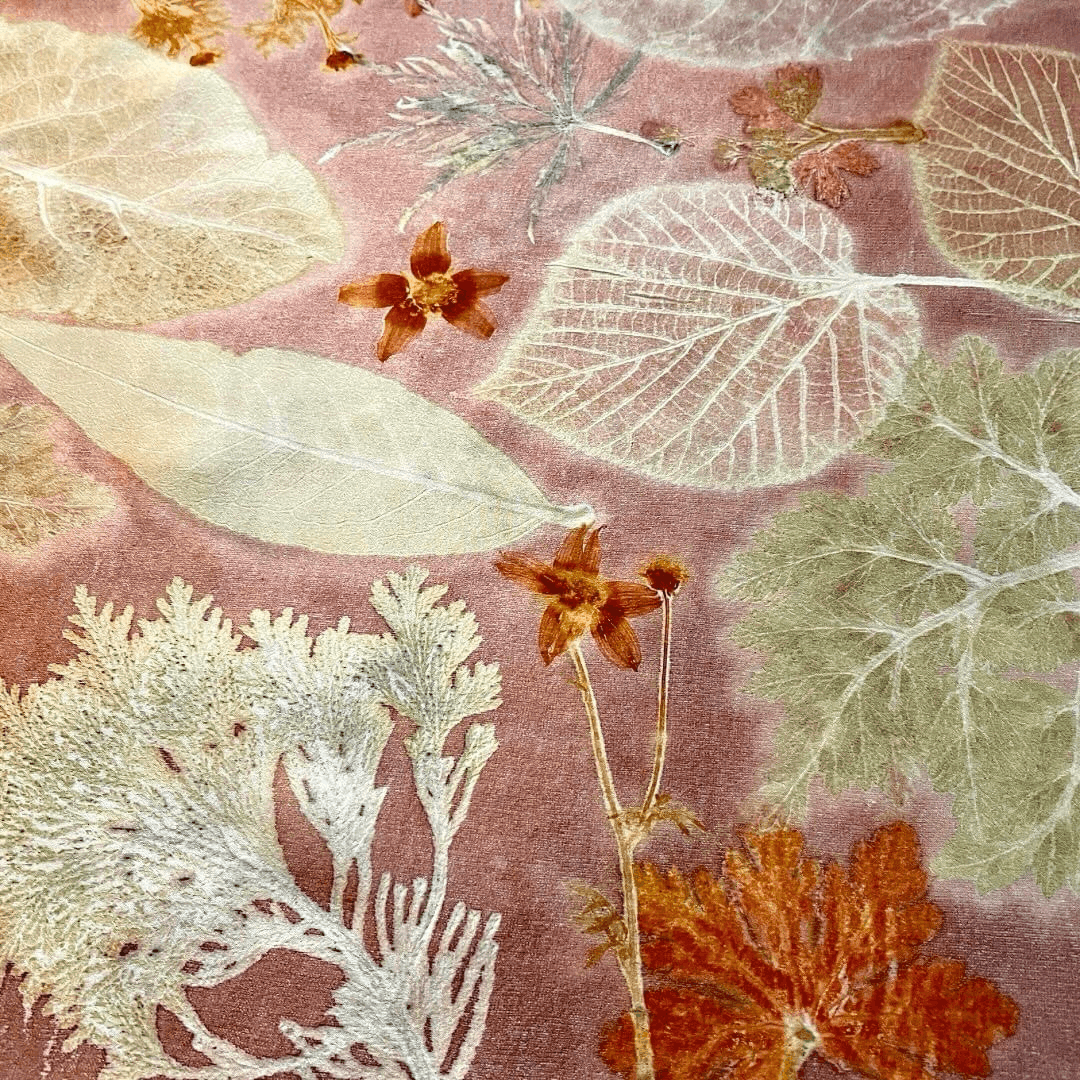 Soft Rose Botanical Print with Madder Root Dye
