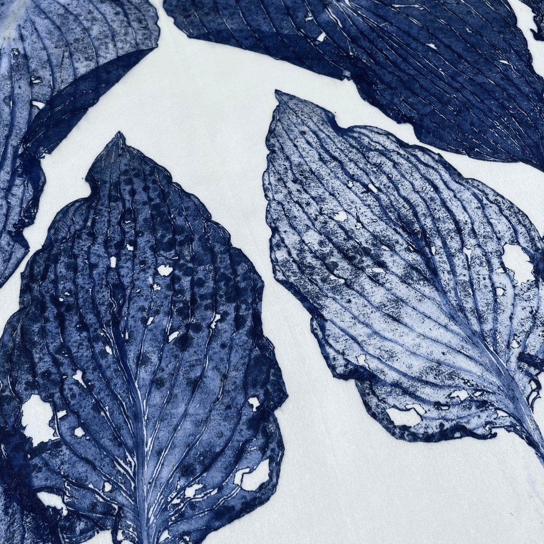 Decayed Leaf Structures in Botanical Printing