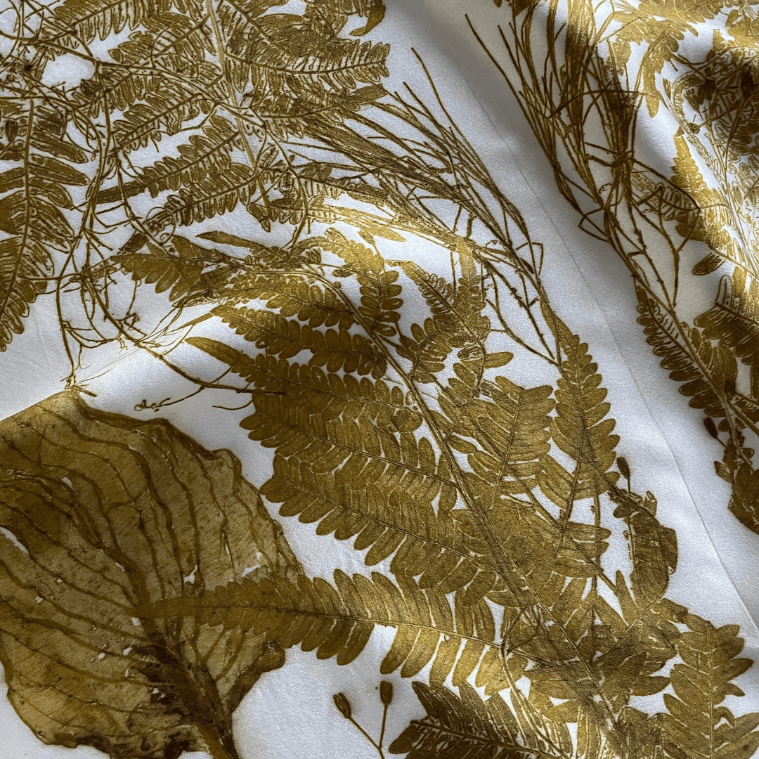 Decayed Plant Material and Leaf Structures