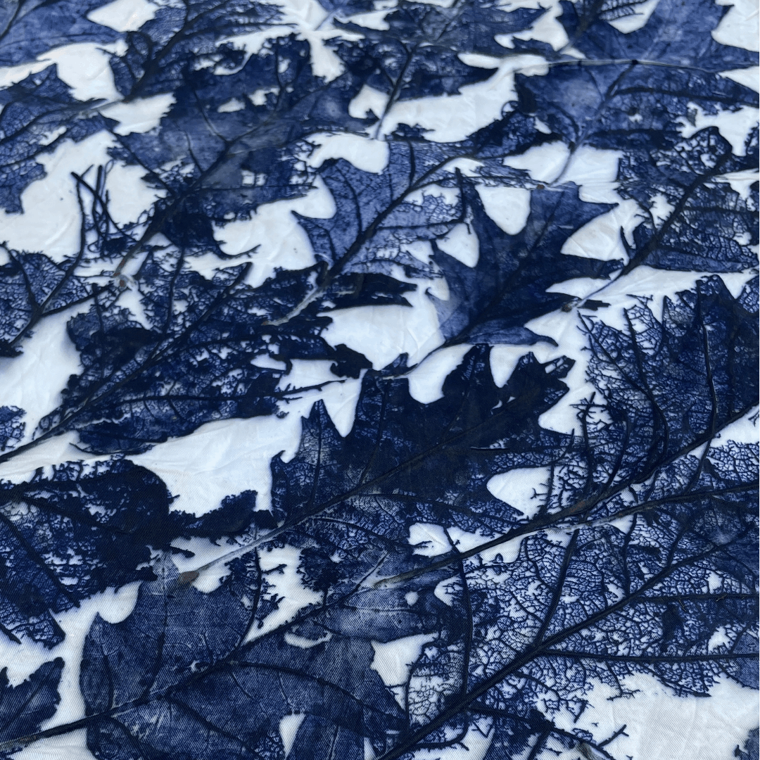 Skeleton Leaves in Botanical Printing