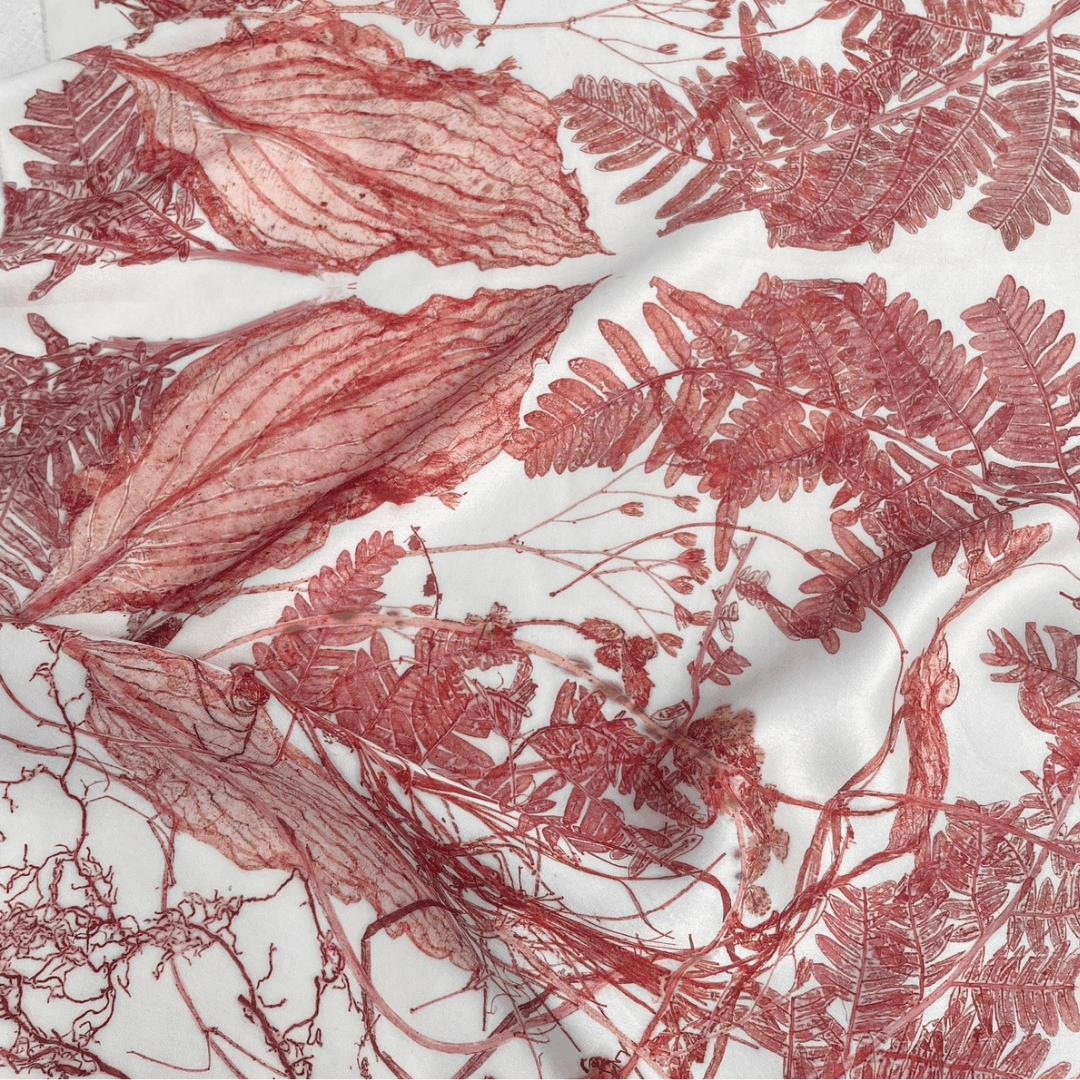 Decayed Leaves, seedheads, roots and Fine Botanical Structures