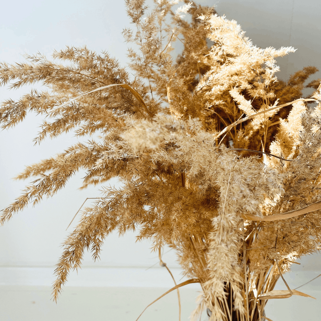 Dried Grass for Botanical Printing