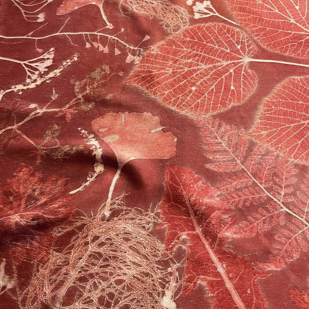 ecoprints created with madder root on protein fibers