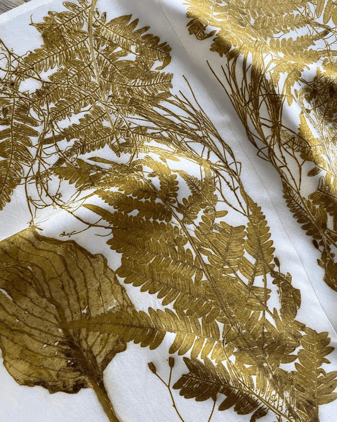 Crispy clear ecoprint on silk with detailed botanical leaf prints